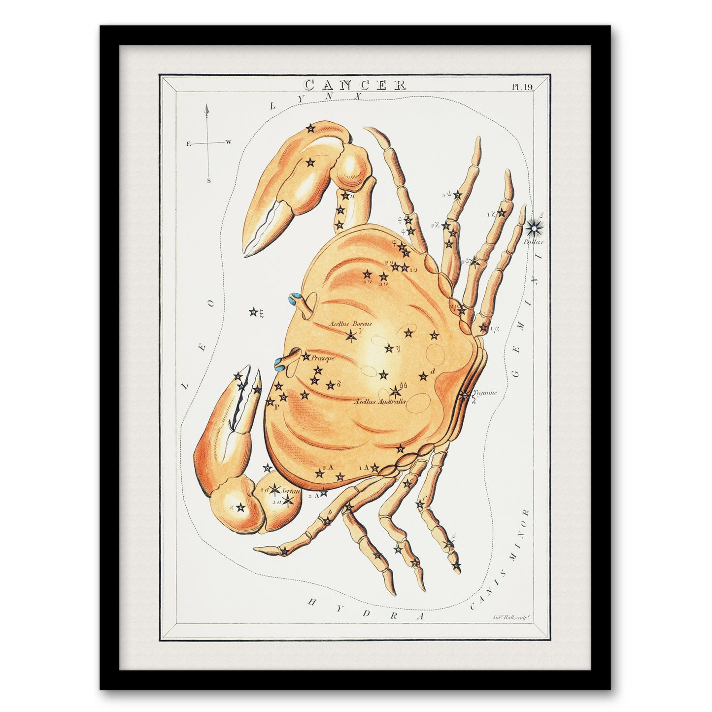 Sidney Hall Vintage Cancer Constellation Illustration Framed Wall Art Print