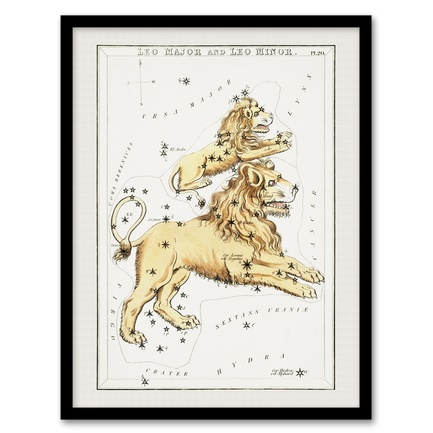 Sidney Hall Vintage Leo Constellation Illustration Framed Wall Art Print