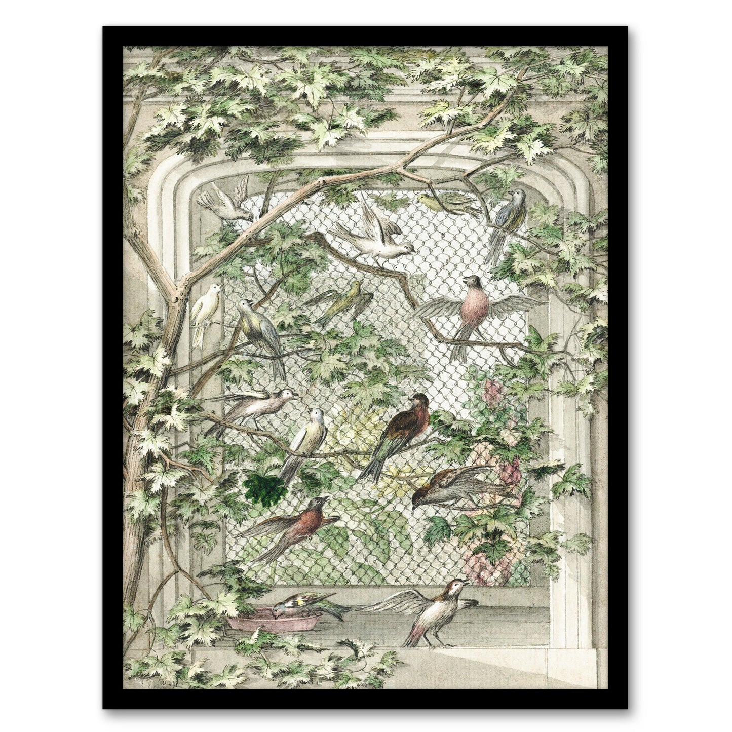 Aert Schouman Framed Wall Art Print Aviary with Fourteen Birds Home Décor
