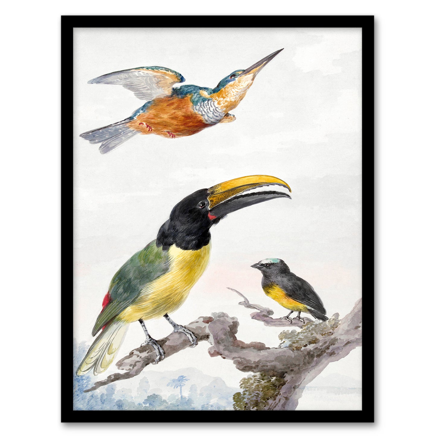 Aert Schouman Framed Wall Art Kingfisher Toucan Bird and a Sparrow Home Décor