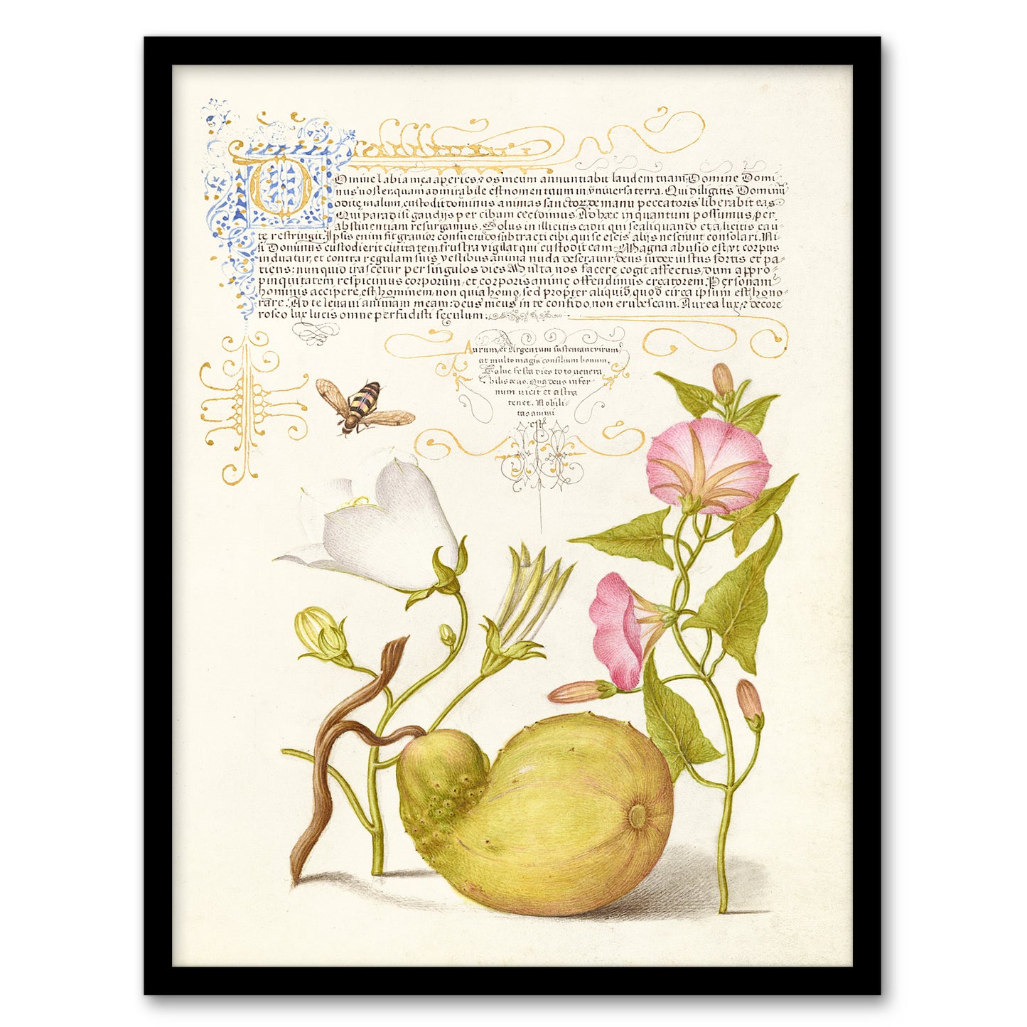 Model Book of Calligraphy Framed Wall Art Beetle Flowers and Gourd Home Décor
