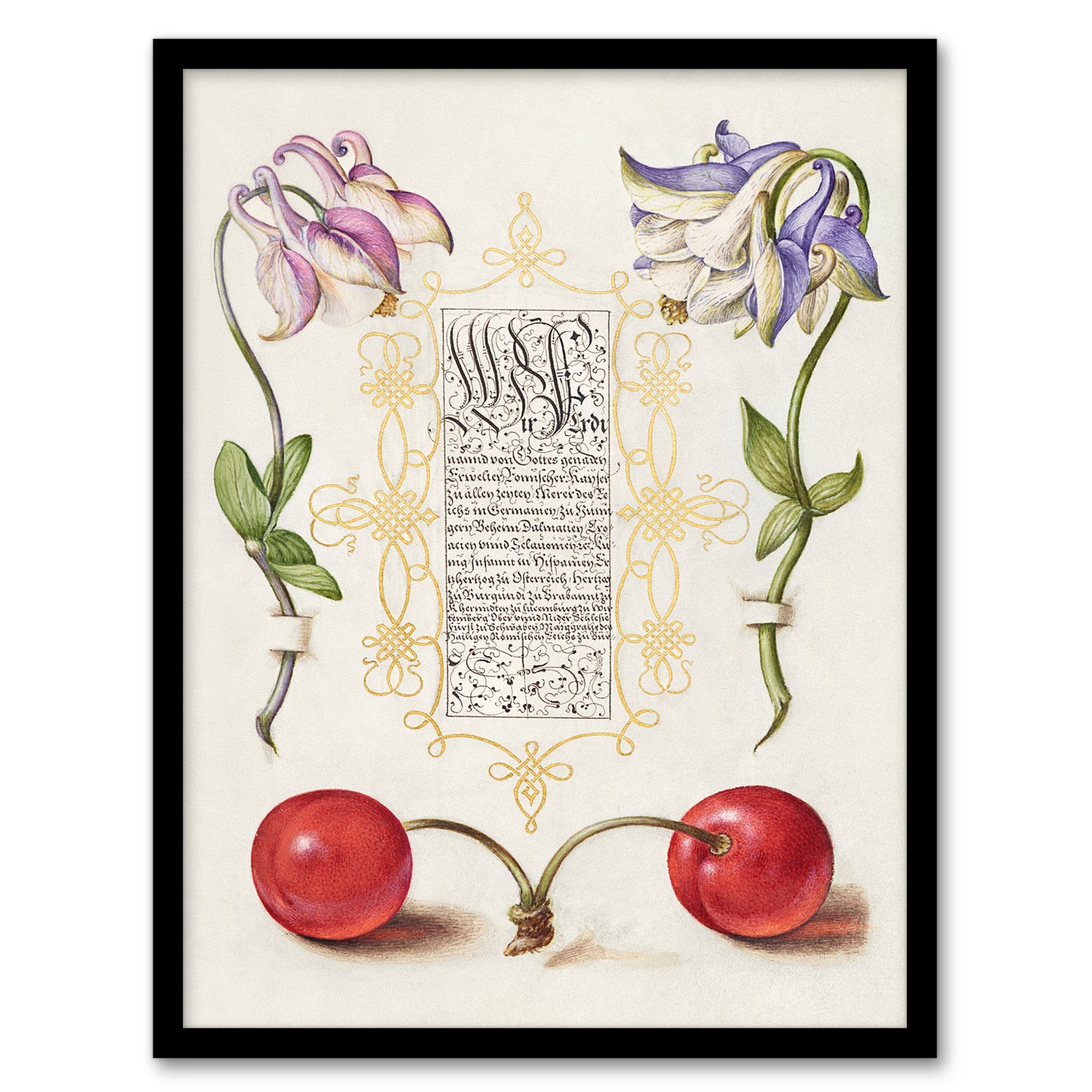 Model Book of Calligraphy Framed Wall Art Columbines and Sweet Cherries