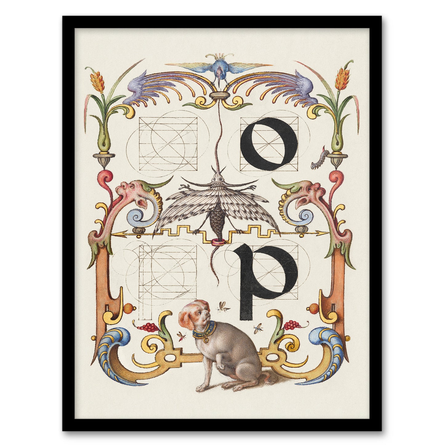 Model Book of Calligraphy Framed Wall Art Pictorial Letter Guide O And P