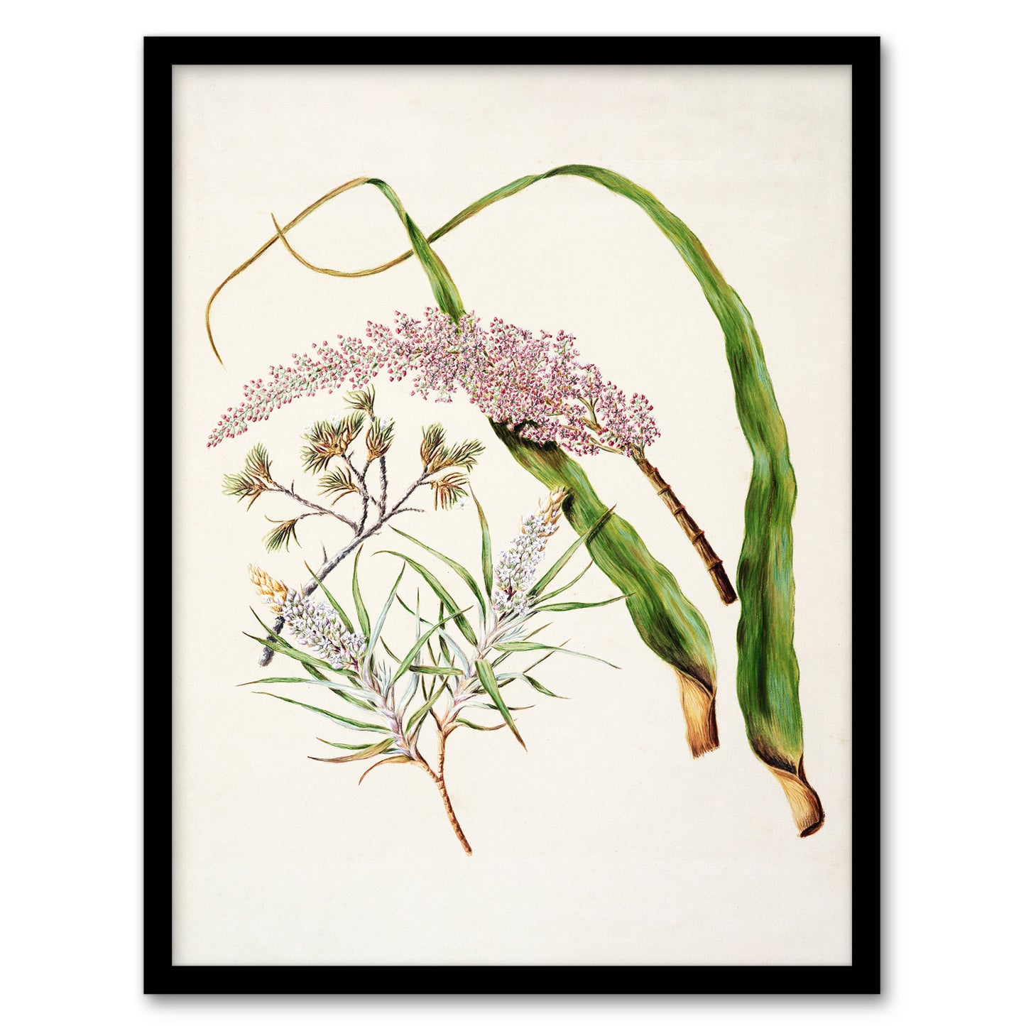 Sarah Featon Framed Wall Art Neinei Totorowhiti Turpentine Scrub Flowers