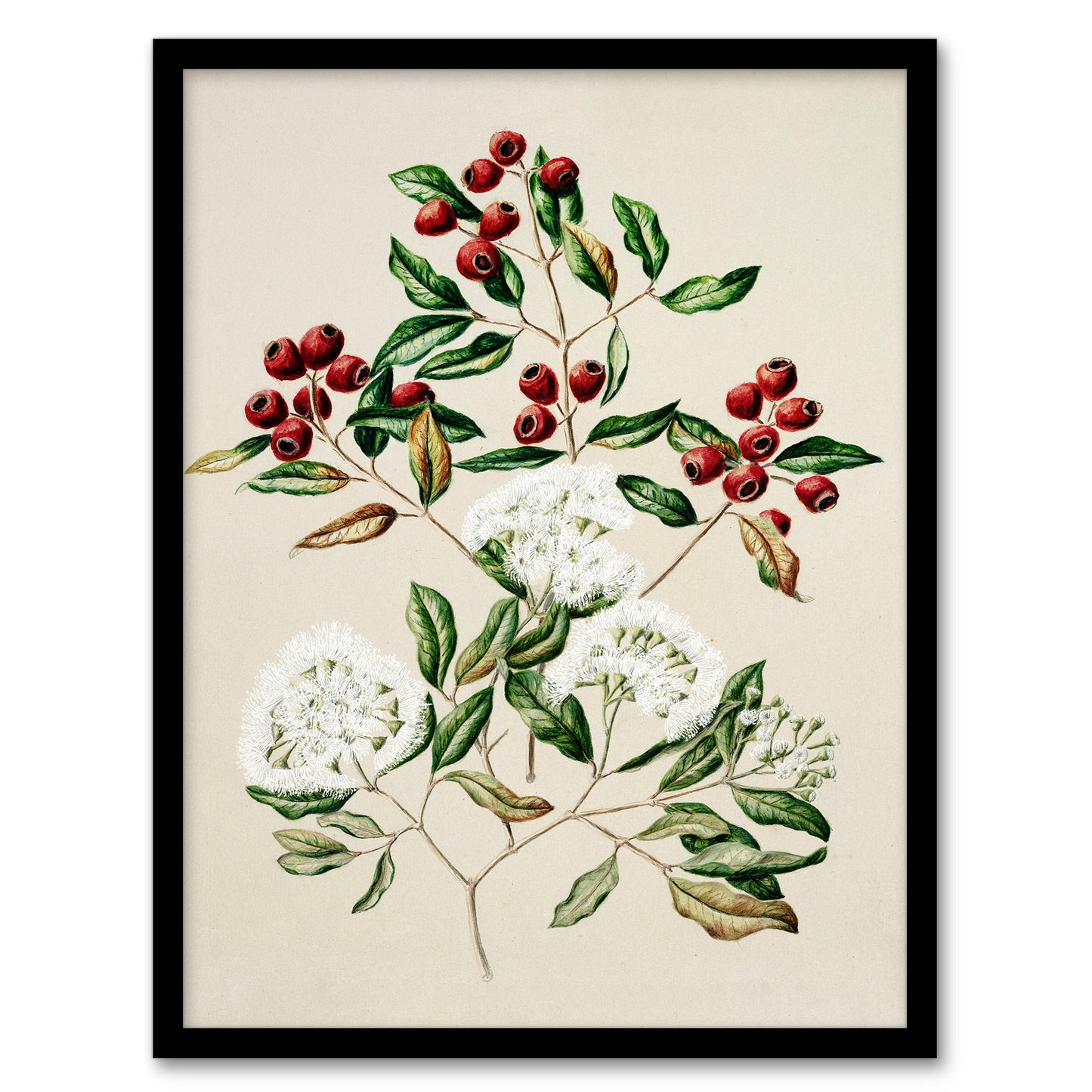 Sarah Featon Framed Wall Art New Zealand Maire Tawake Tree Flowers Home Décor