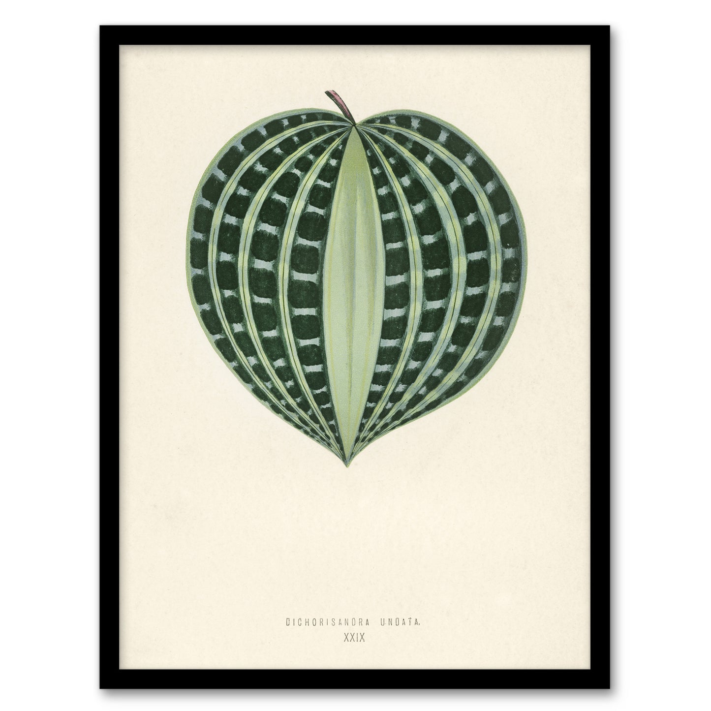 Vintage Botanical Seersucker Plant Leaf Fawcett Framed Wall Art Print