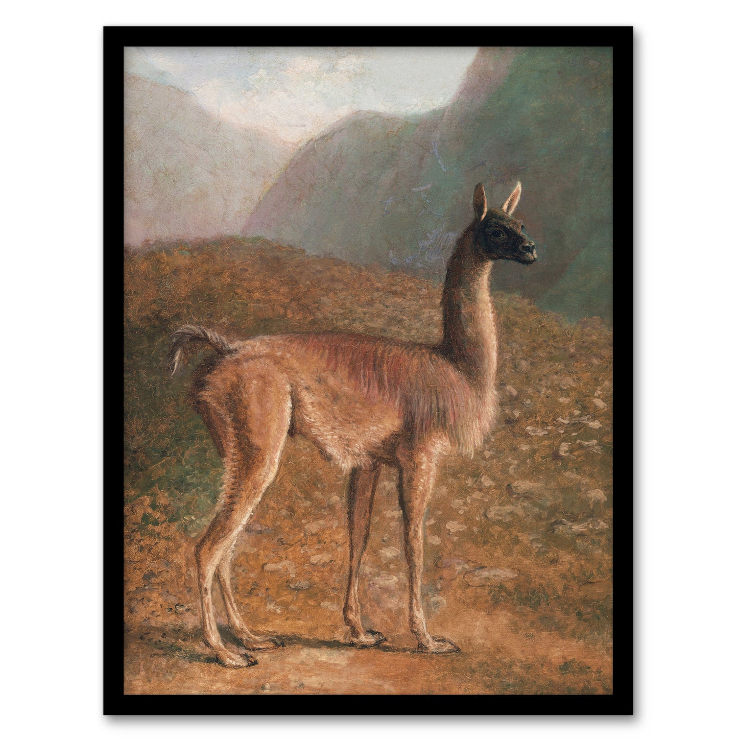 Guanaco Llama in Mountain Landscape Agasse Framed Wall Art Print