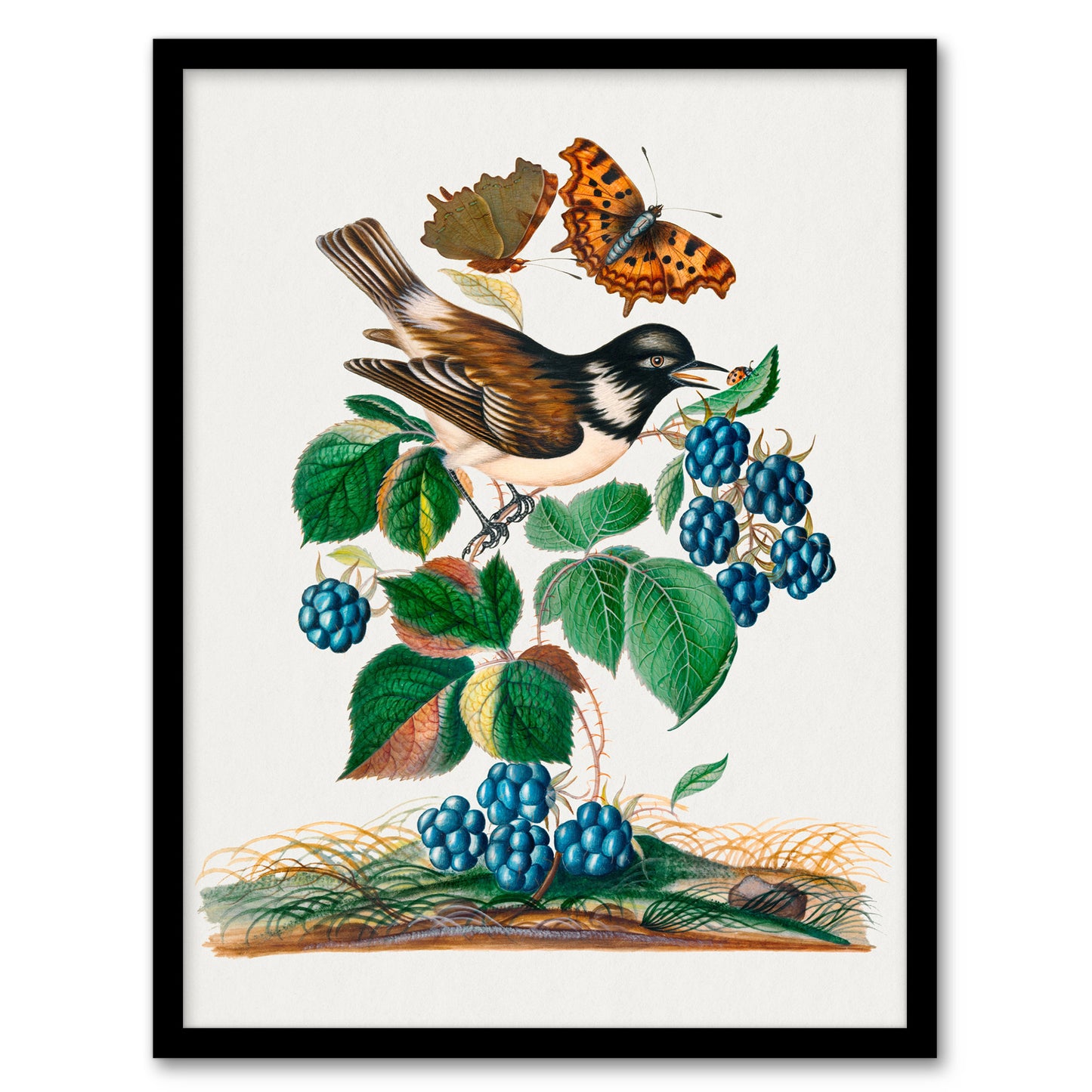 Bramble Rubus Starling and Butterflies Bolton Framed Wall Art Print