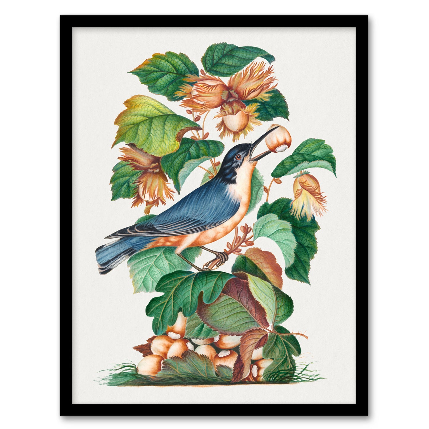 Nuthatch Bird Hazel Oak and Bramble Bolton Framed Wall Art Print