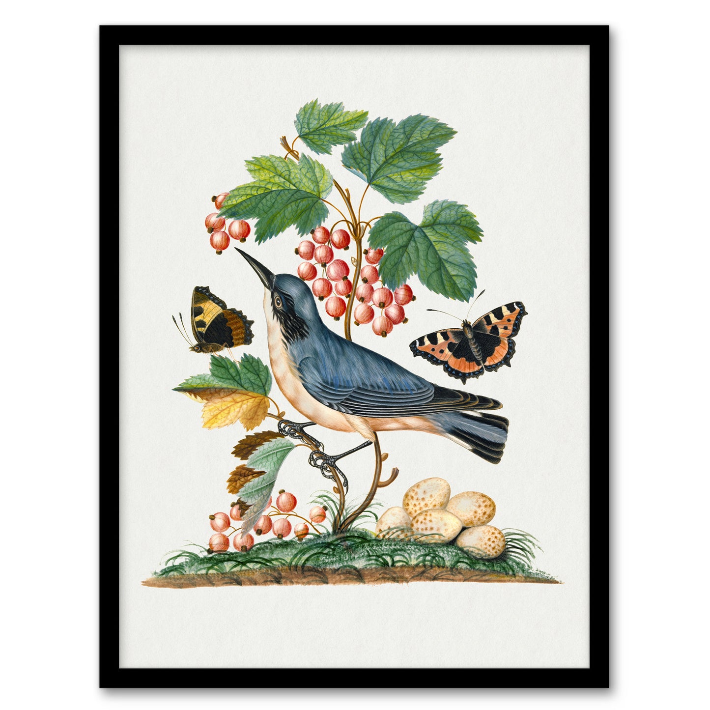 Warbler Bird and Red Admiral Butterfly Bolton Framed Wall Art Print