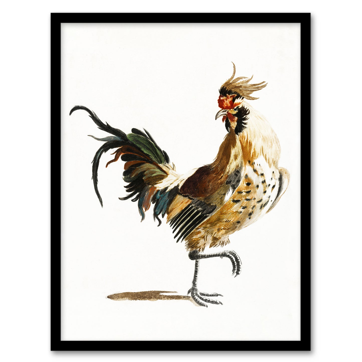 A Rooster Watercolour Painting Johan Teyler Framed Wall Art Print