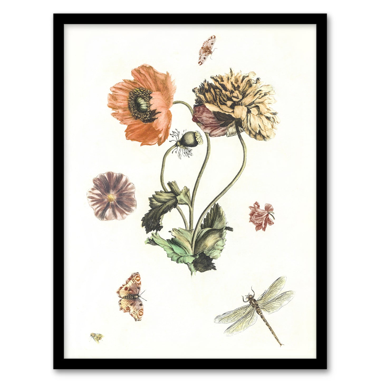 Poppies Butterflies and Dragonfly Teyler Framed Wall Art Print