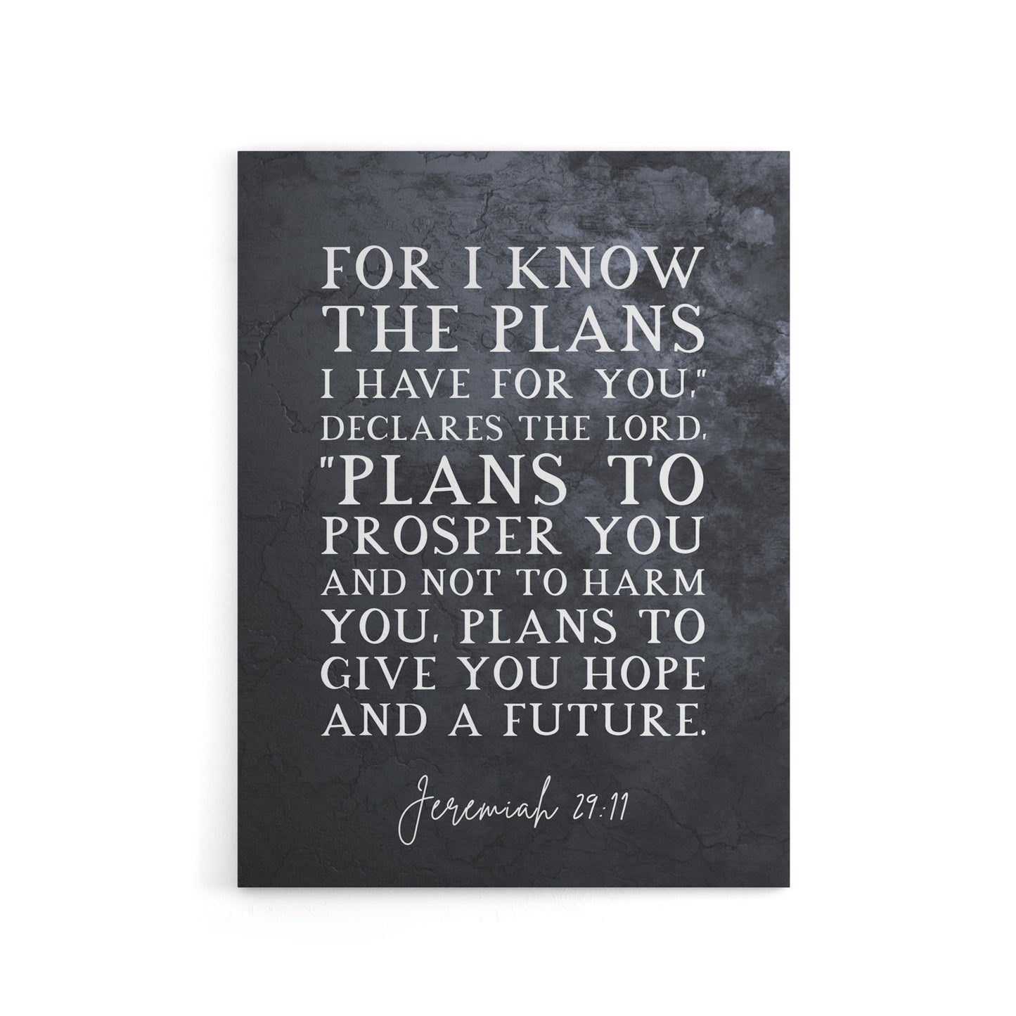 Jeremiah 29 11 I Know The Plans Have Bible Quote Canvas Wall Art Print