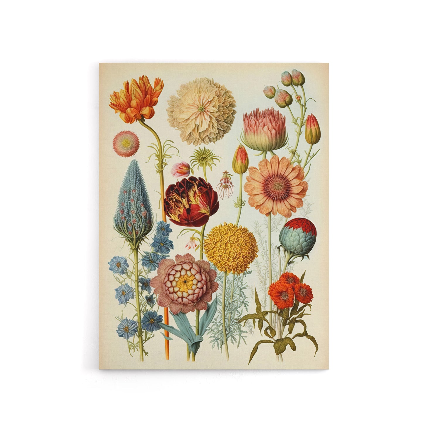 Vintage Botanical Flowers Haeckel Inspired Canvas Wall Art Print