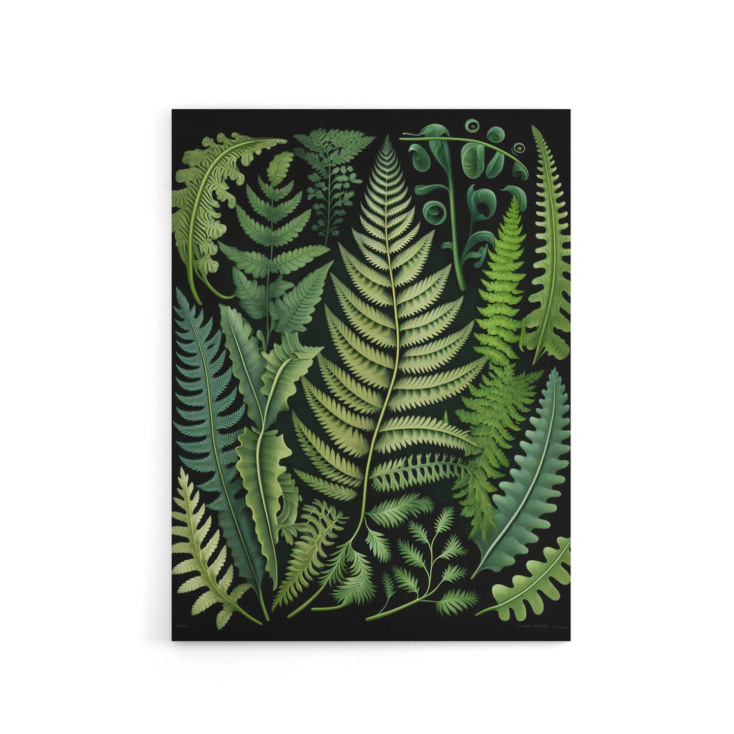 Ernst Haeckel Inspired Fern Leaf Fronds Canvas Wall Art Print