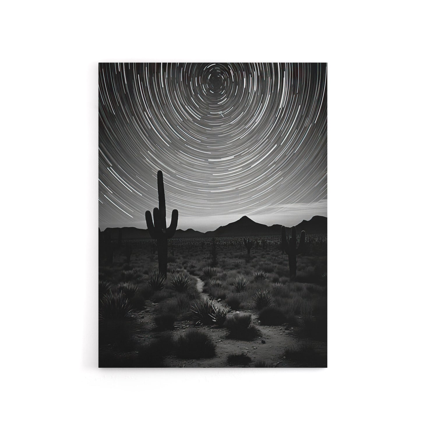 Night Sky Stars Time Lapse Over Desert Cactus Canvas Wall Art Print