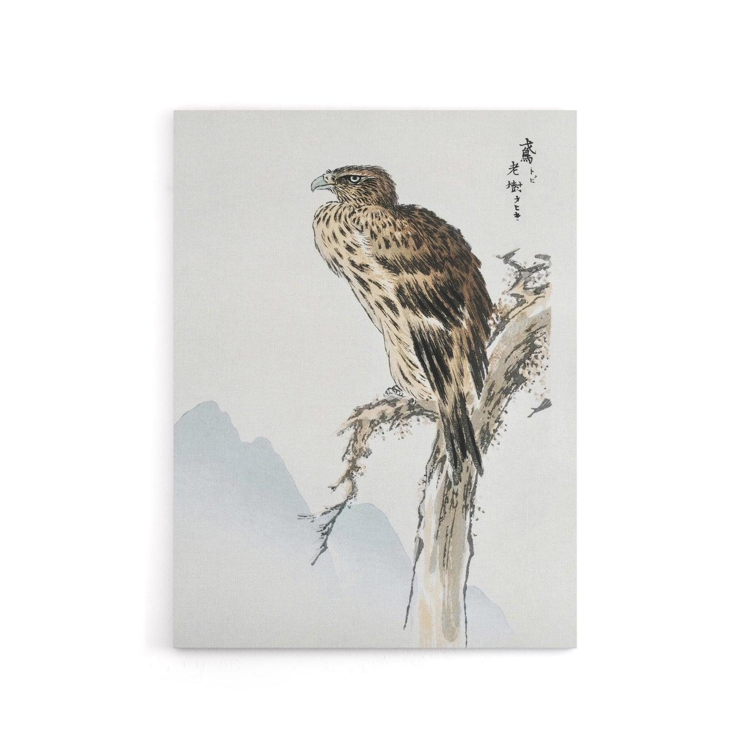 Black Eared Kite Bird Japanese Canvas Wall Art Print Kashu