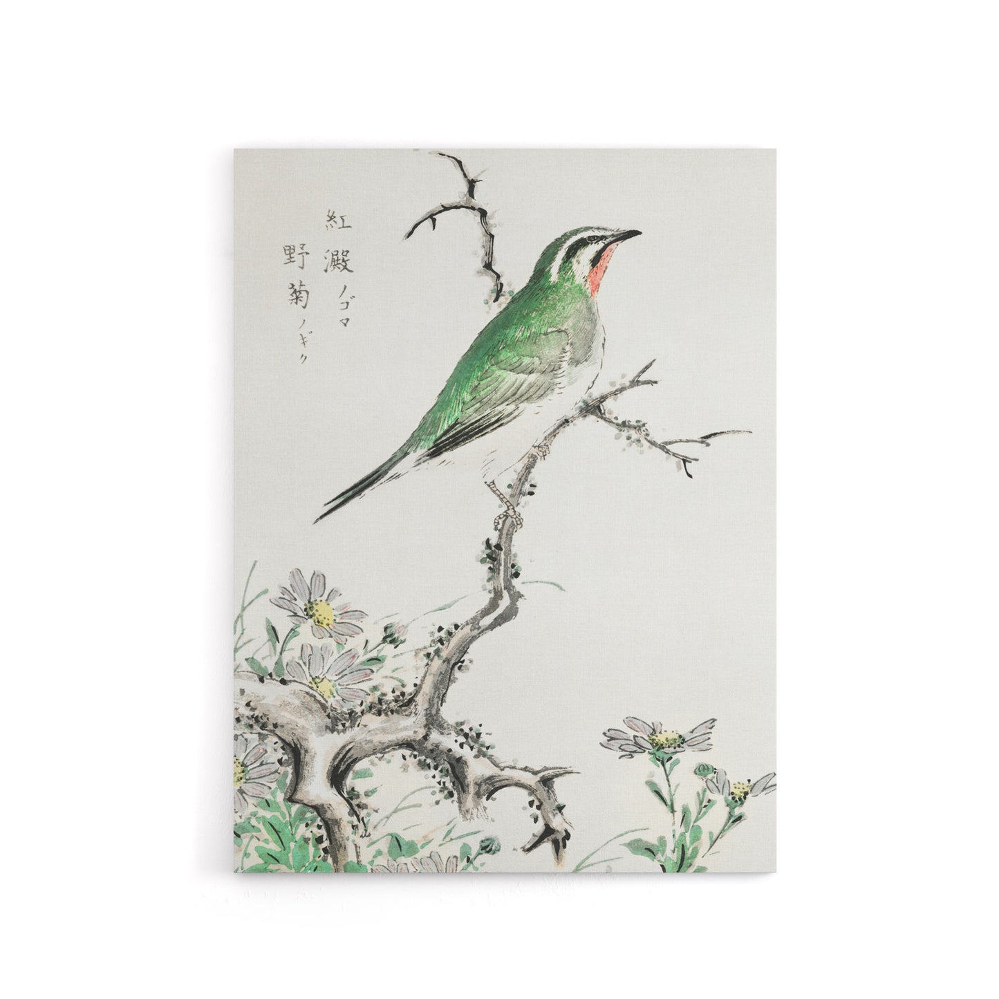 Ruby Throat Bird and Wild Camomile Canvas Wall Art Print Kashu