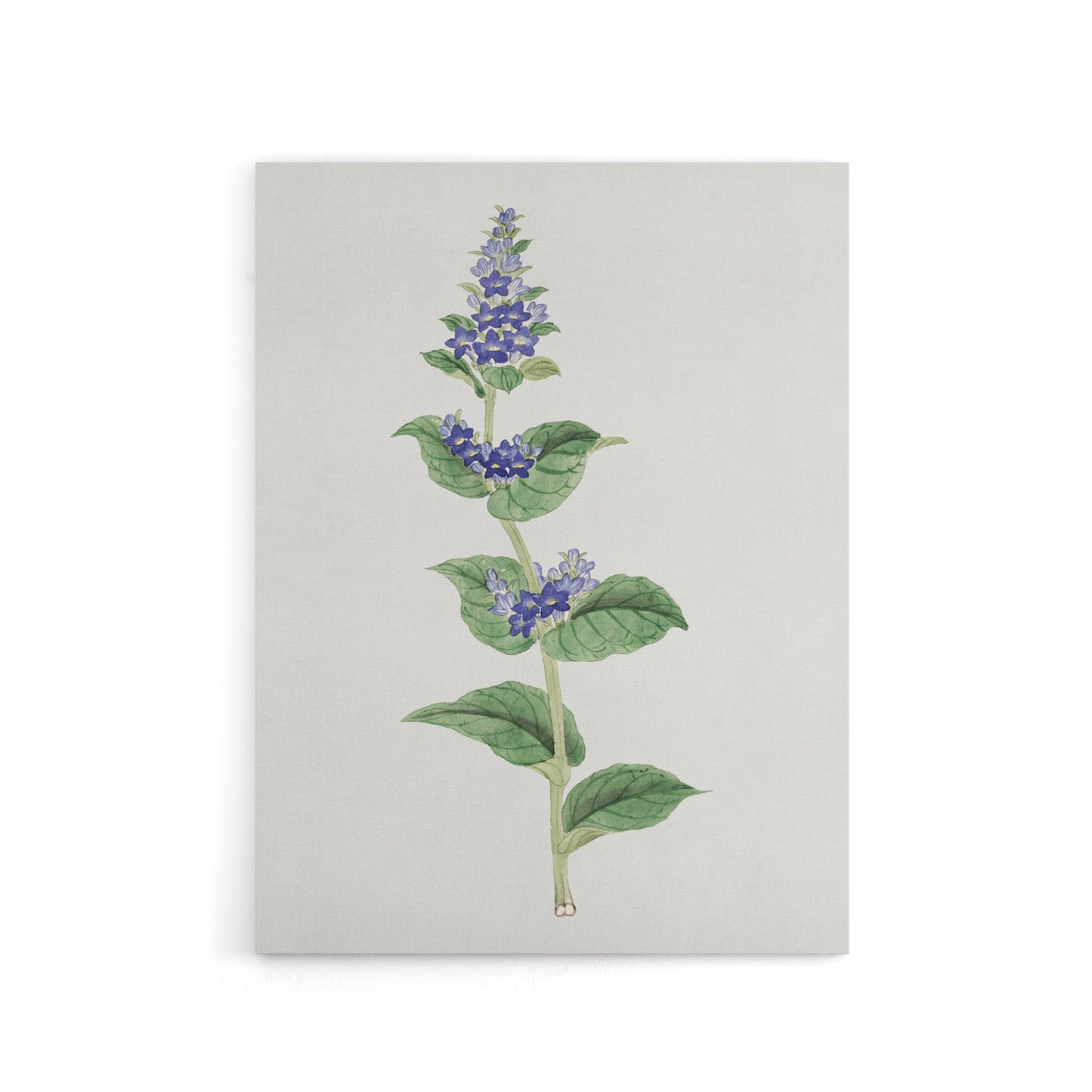 Gentian Flower Canvas Wall Art Print Vintage Japanese Botanical