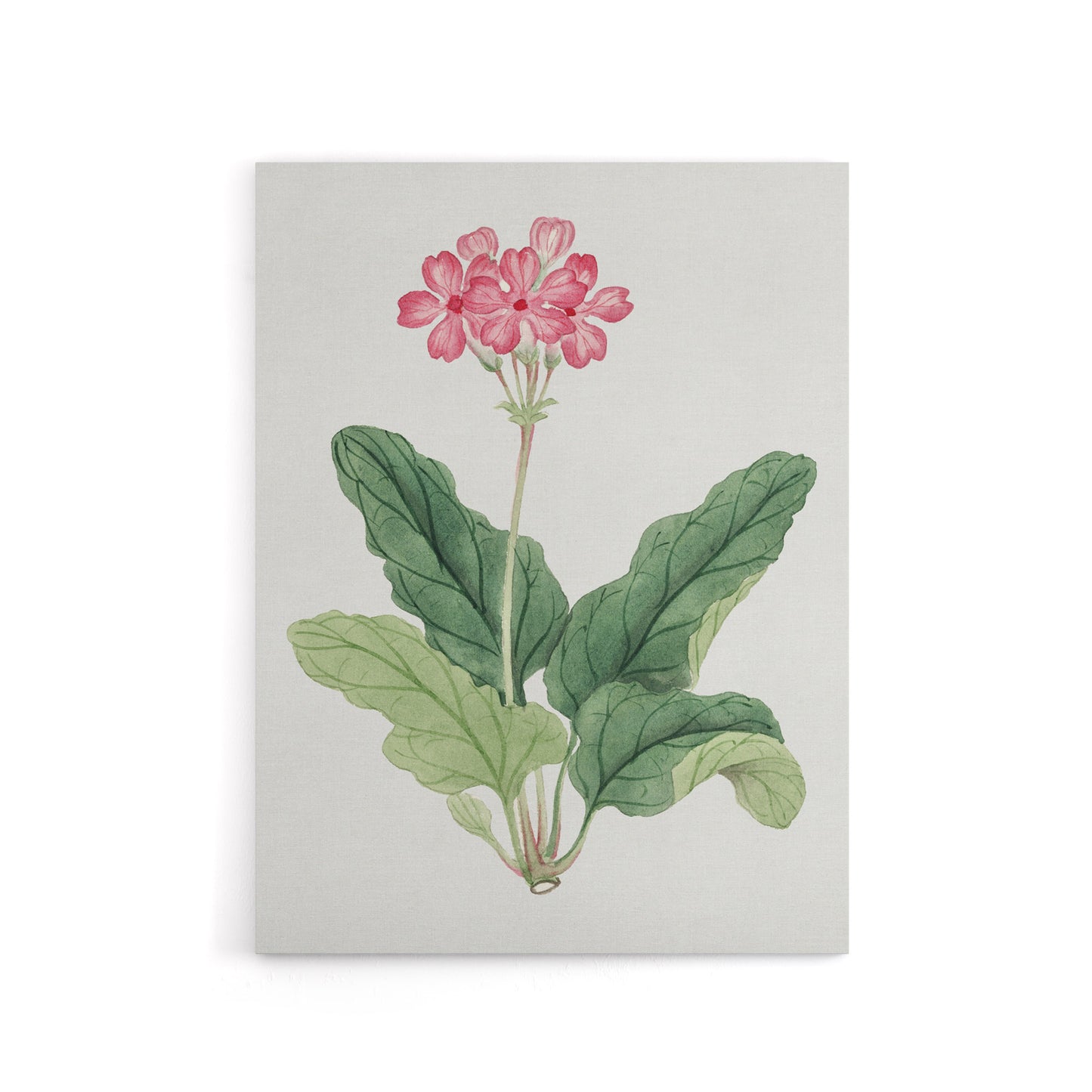 Sakura Flower Canvas Wall Art Print Vintage Japanese Botanical