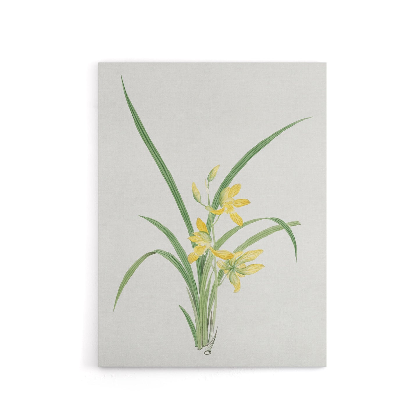 Yellow Lilies Canvas Wall Art Print Vintage Japanese Botanical