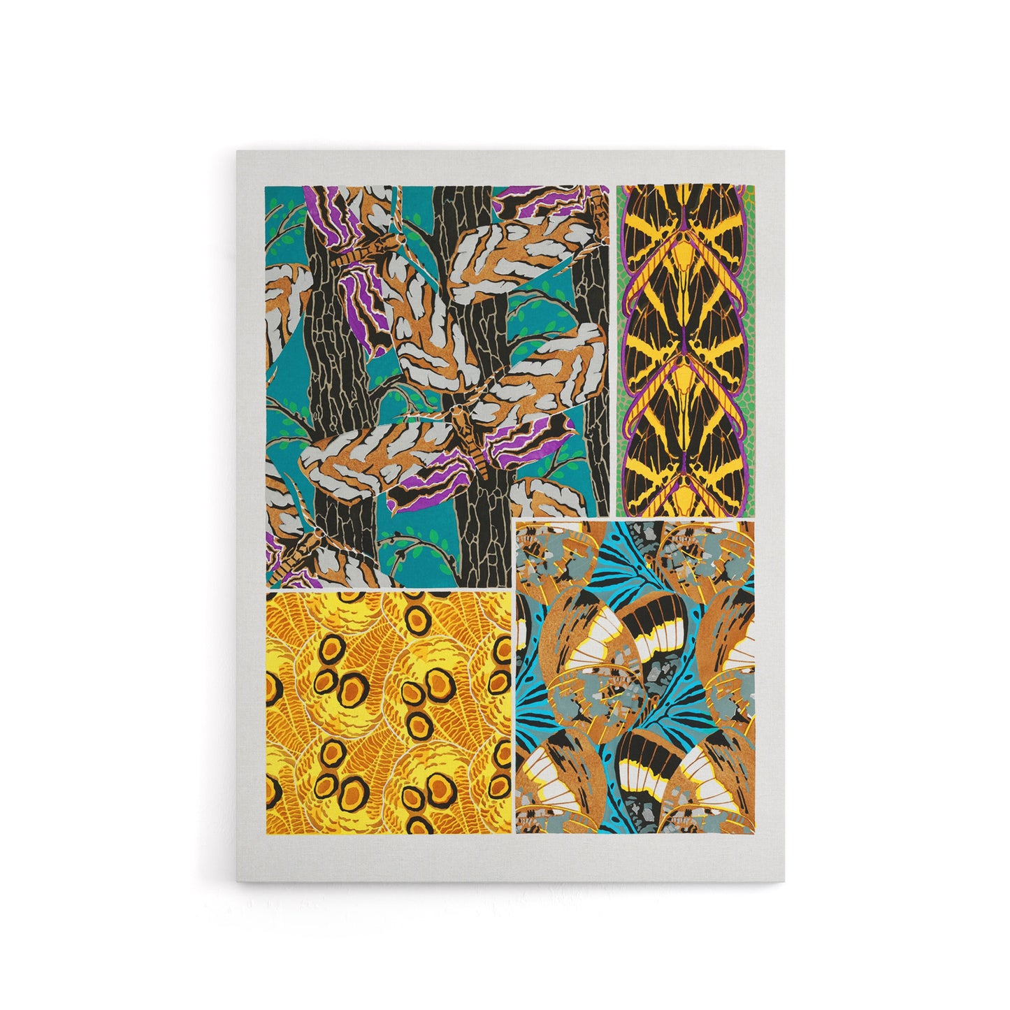 Colourful Vintage Butterfly Pattern Canvas Wall Art Print Seguy