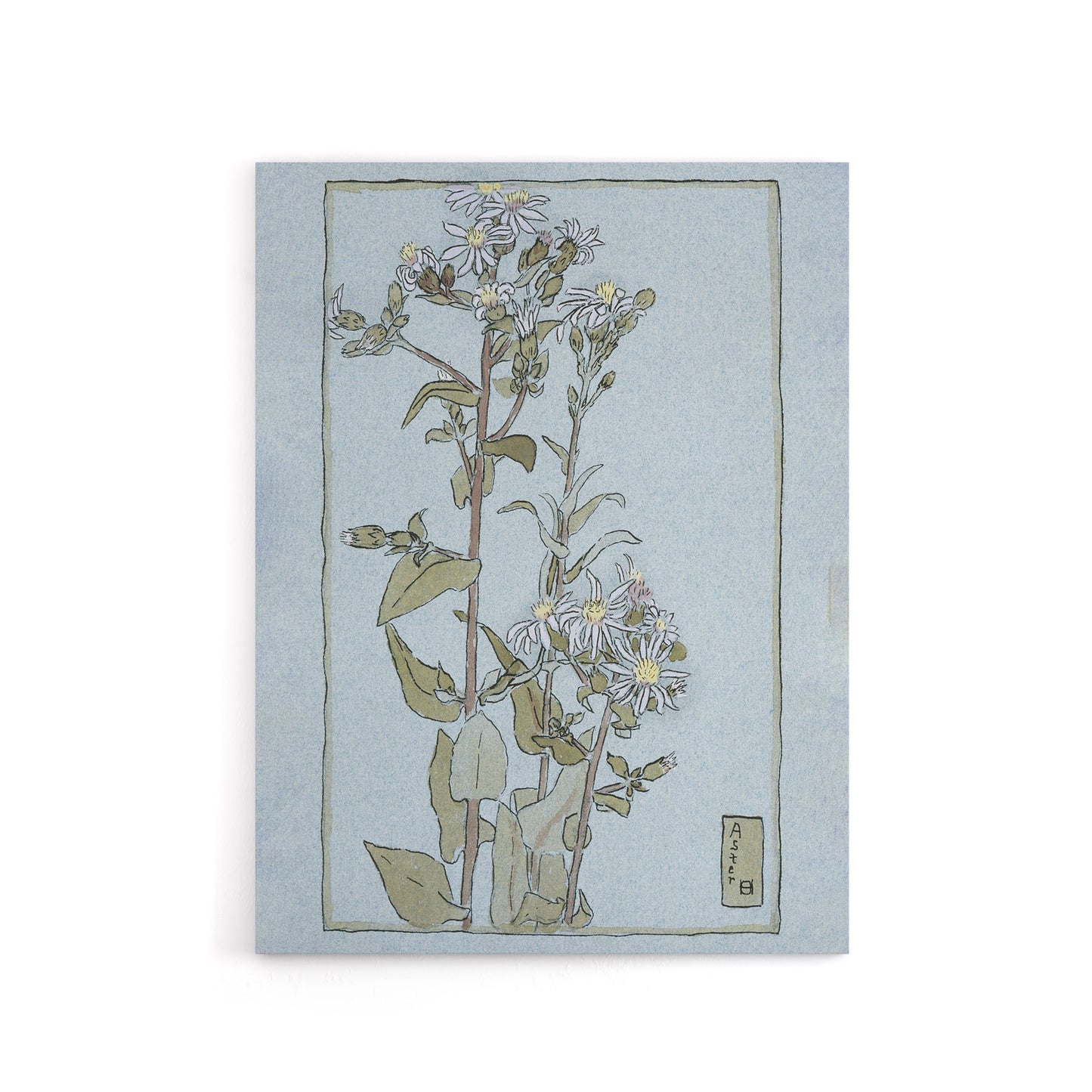 Aster on Green Ground Canvas Wall Art Print Overbeck