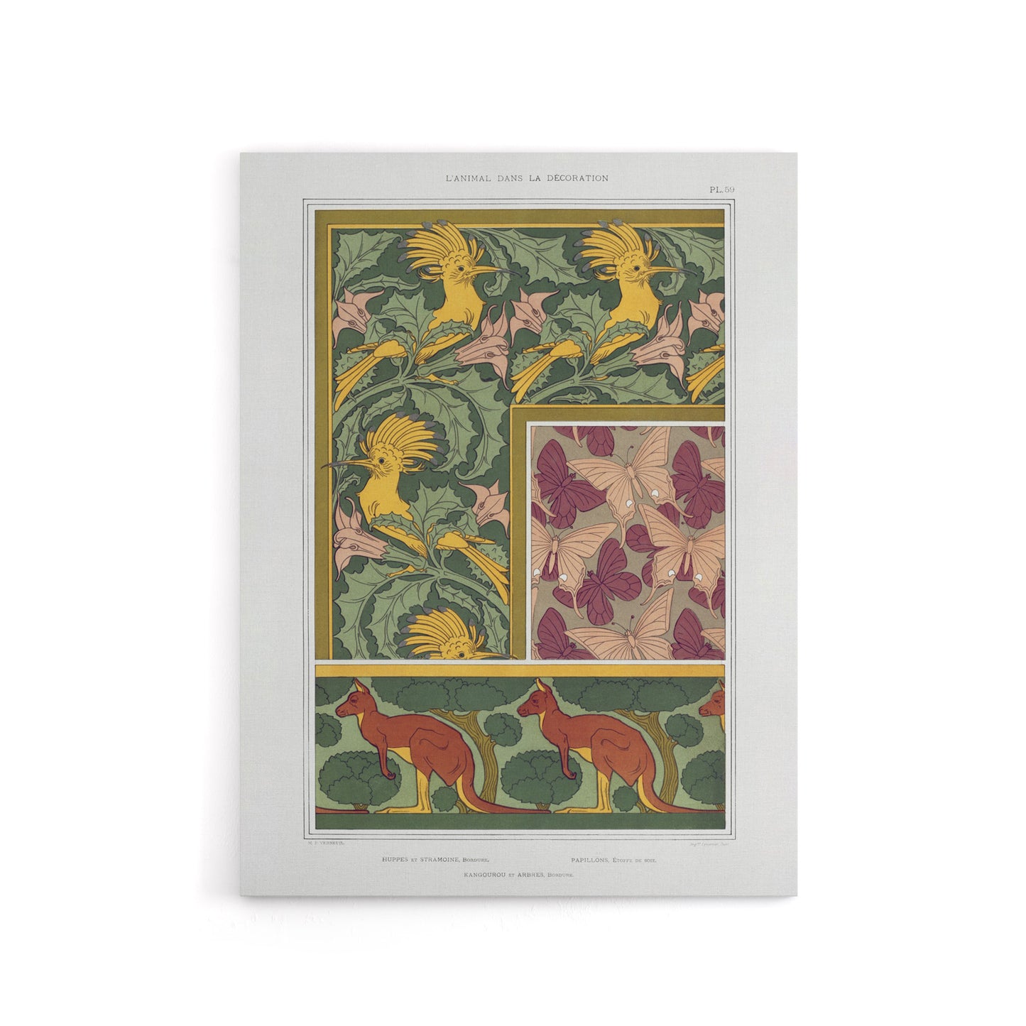 Birds Butterflies Kangaroo Pattern Canvas Wall Art Print Verneuil