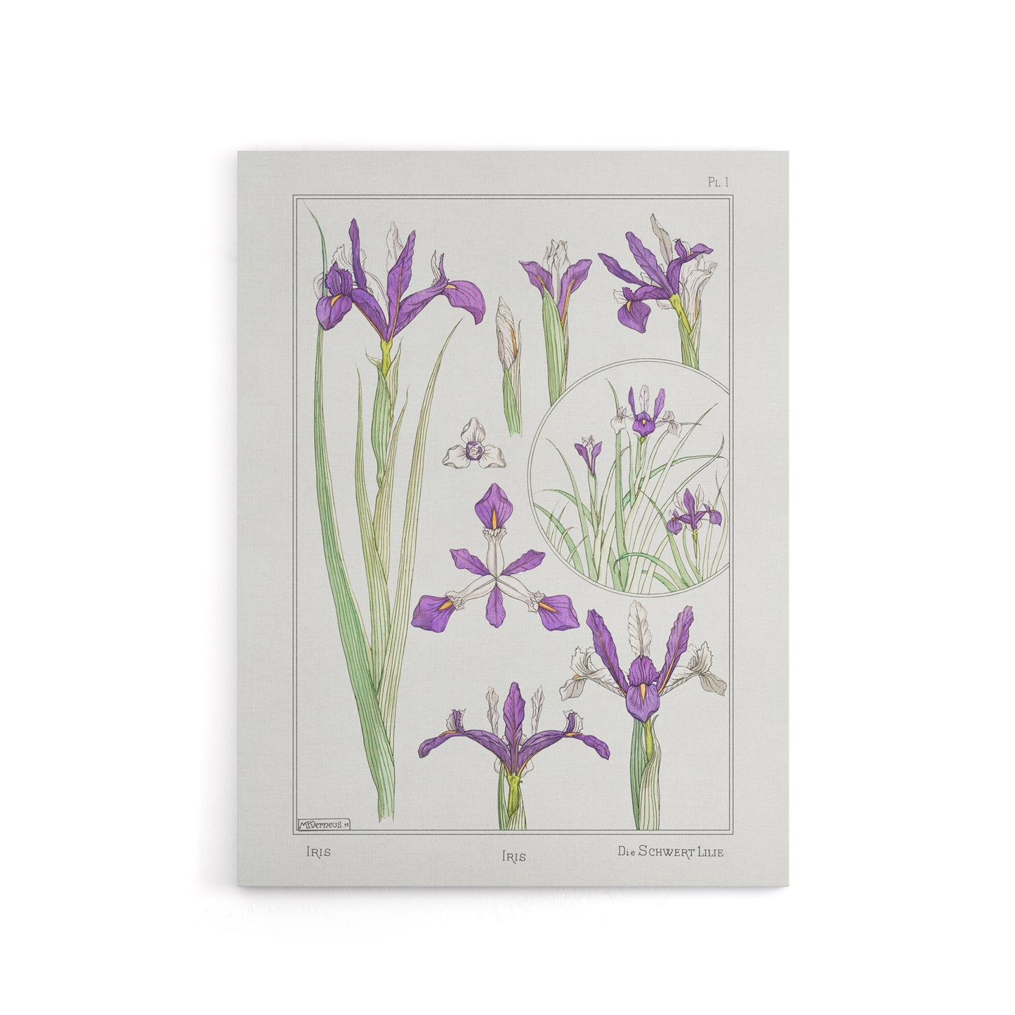 Purple Iris Flower Canvas Wall Art Print Vintage Floral Verneuil