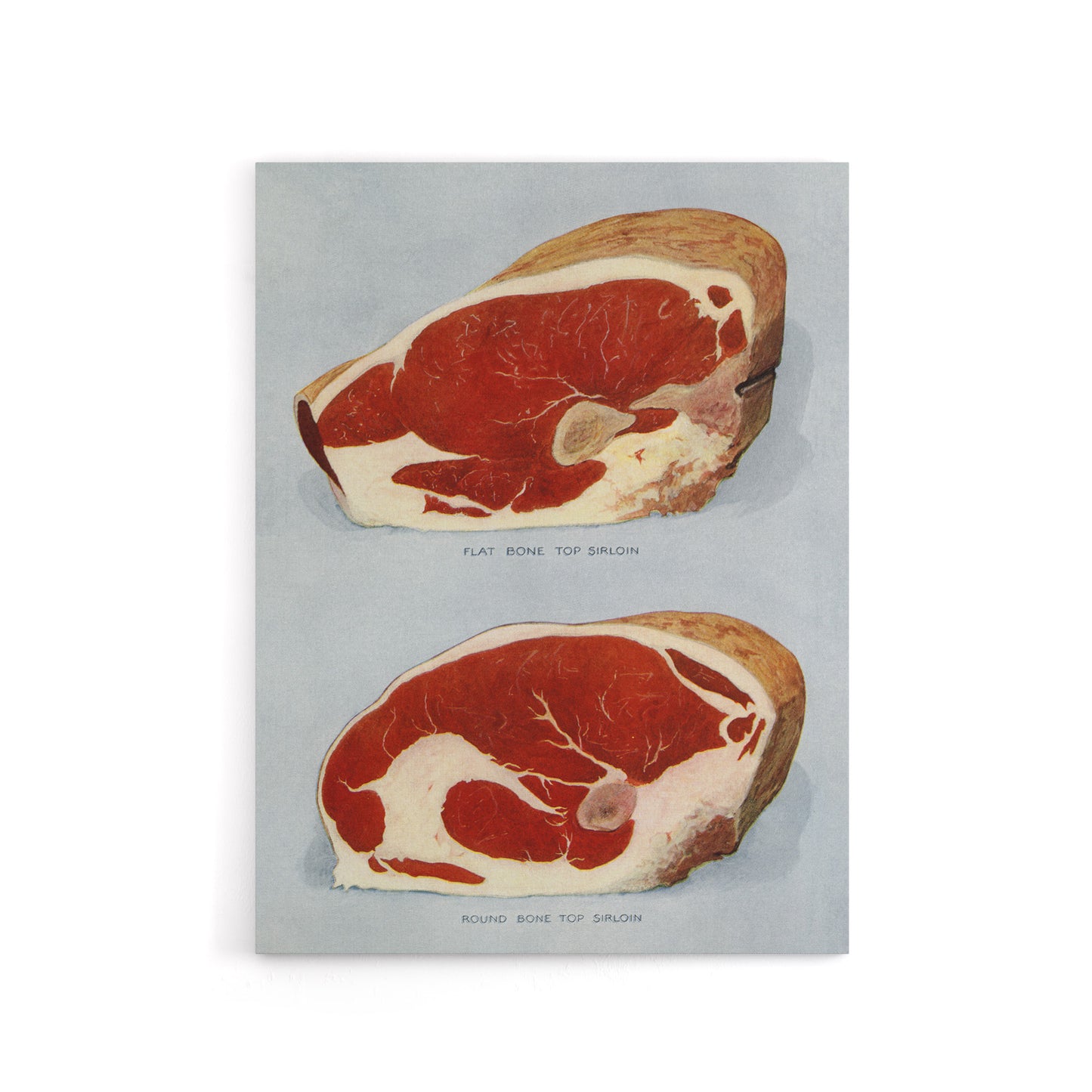 Beef Sirloins Illustration Vintage Canvas Wall Art