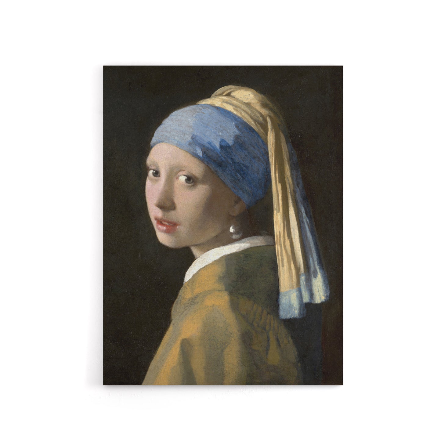 Girl with a Pearl Earring Vermeer Vintage Canvas Wall Art