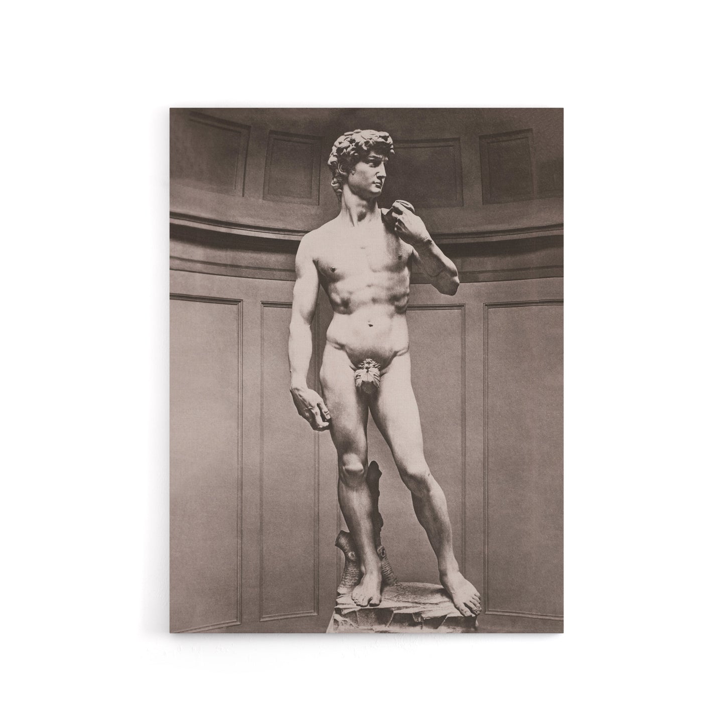 Statue of David Photograph Michelangelo Vintage Canvas Wall Art