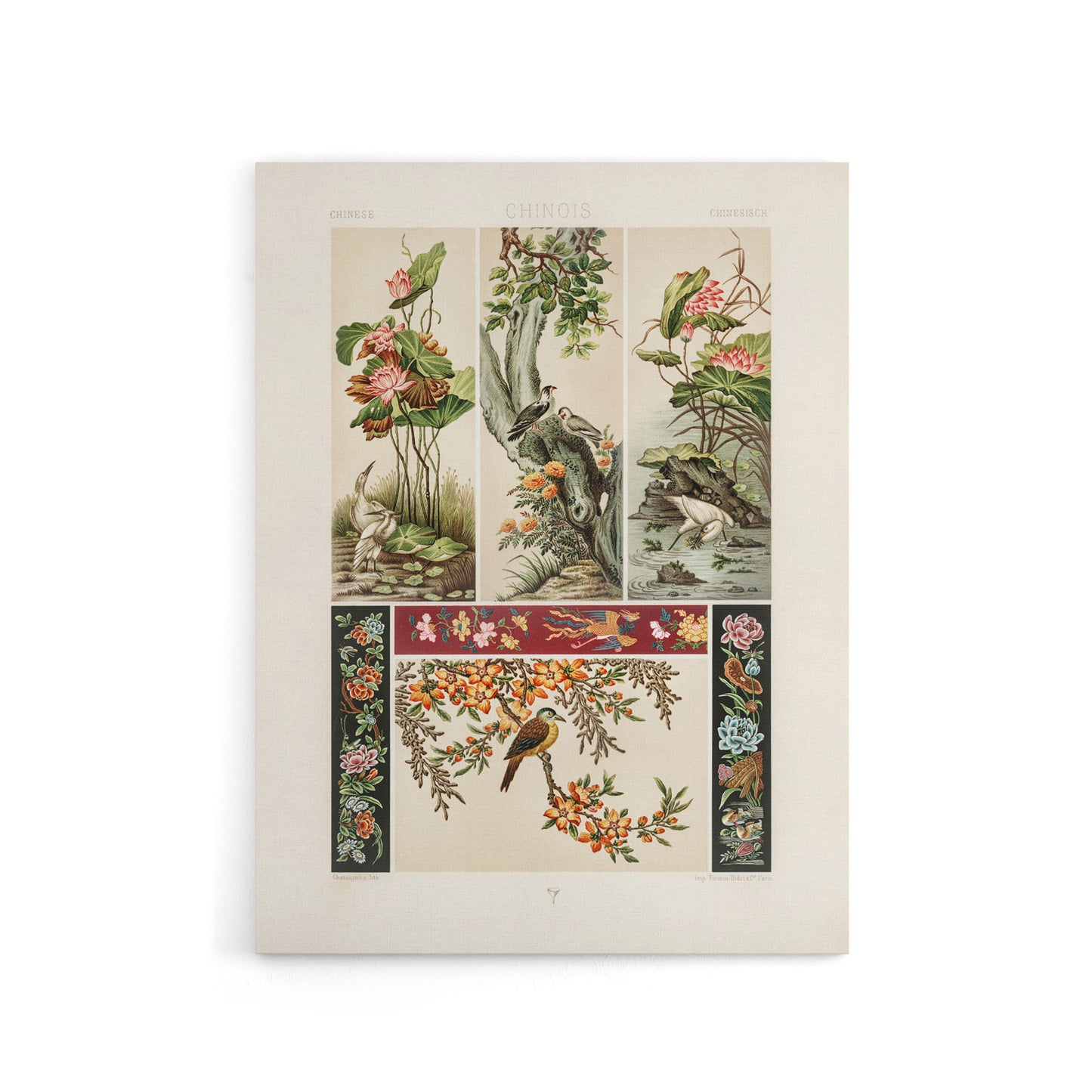 Chinese Patterns of Birds and Flowers Racinet Canvas Wall Art