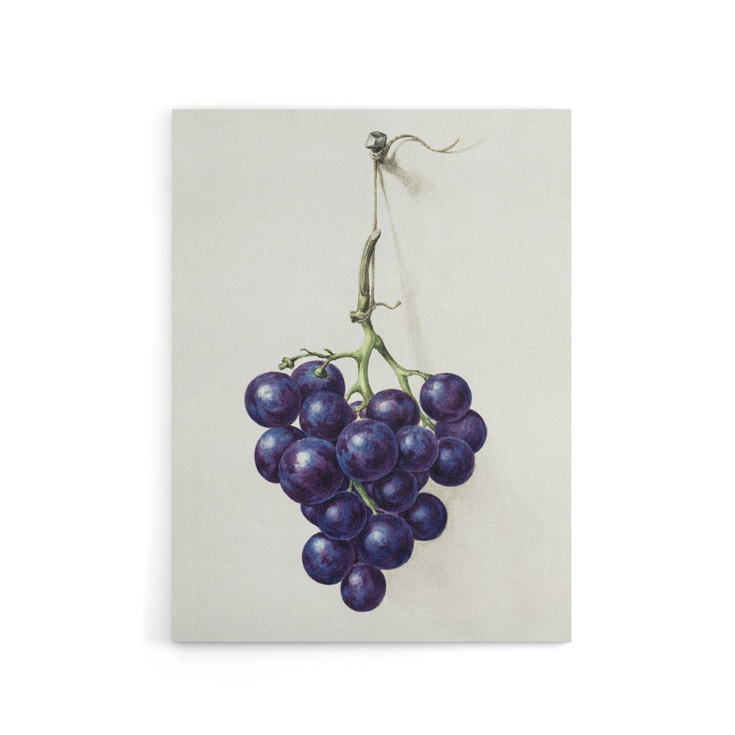 Bunch of Blue Grapes Oil Jean Bernard Vintage Canvas Wall Art