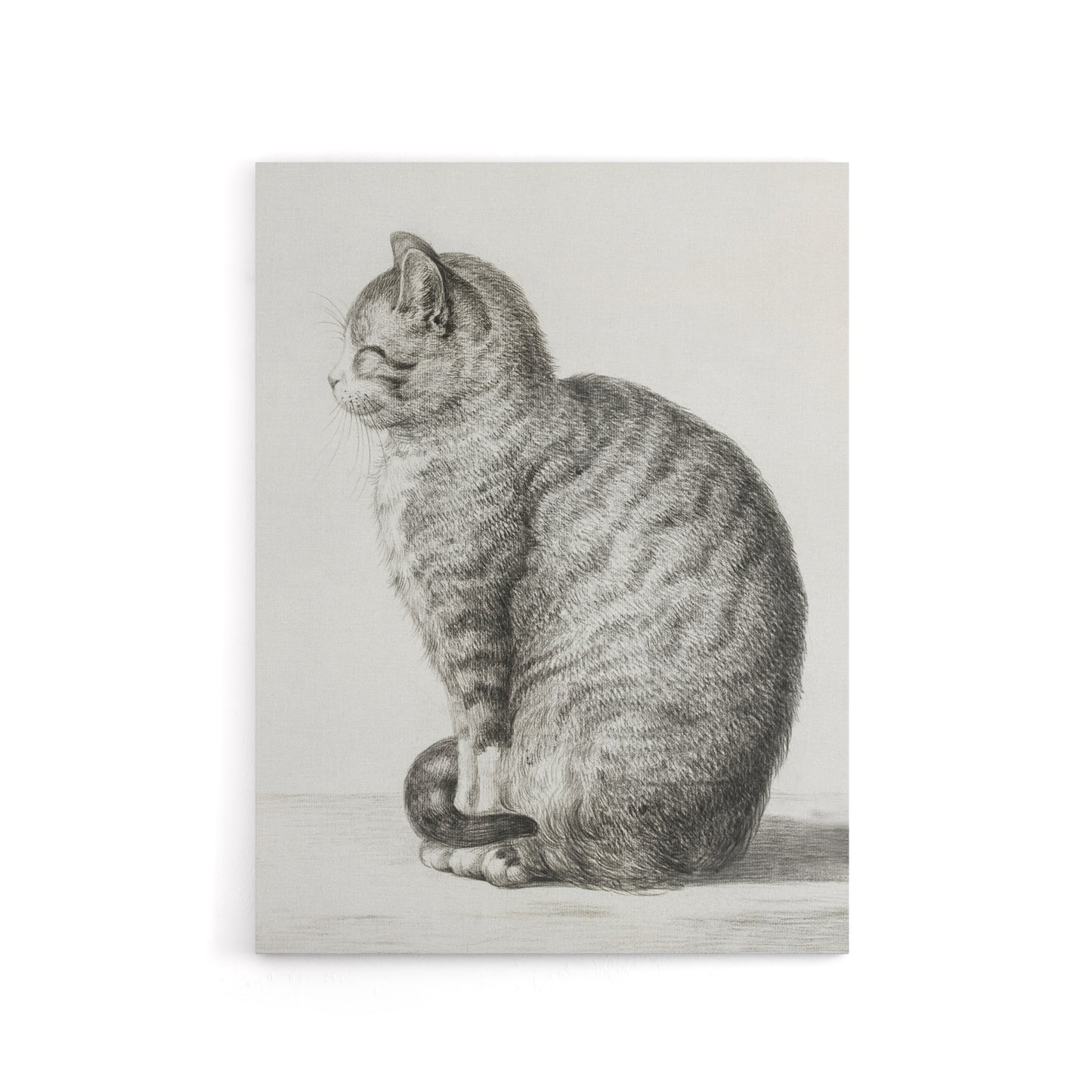 Sitting Smiling Cat Pencil Drawing Bernard Canvas Wall Art