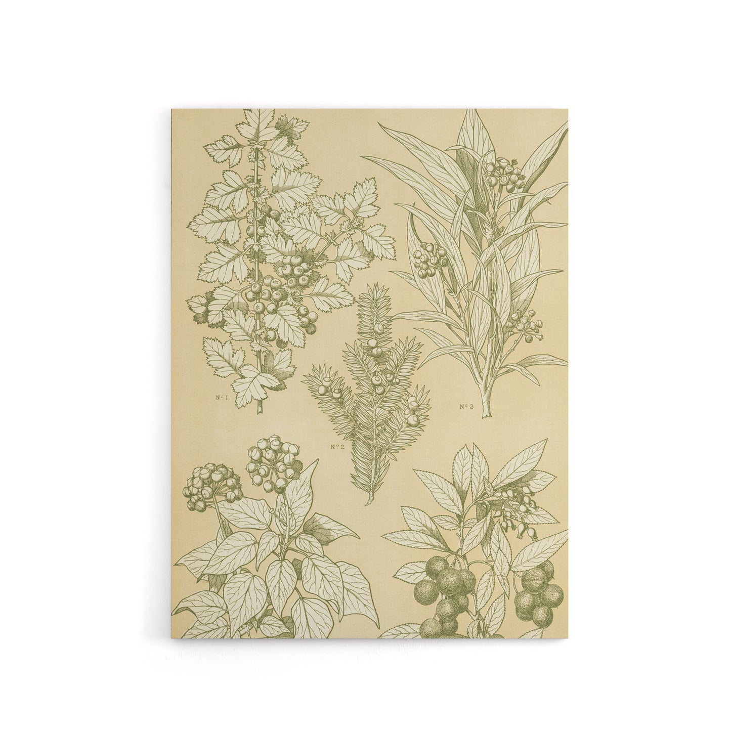 Leaves From Nature No 7 Botanical Jones Vintage Canvas Wall Art