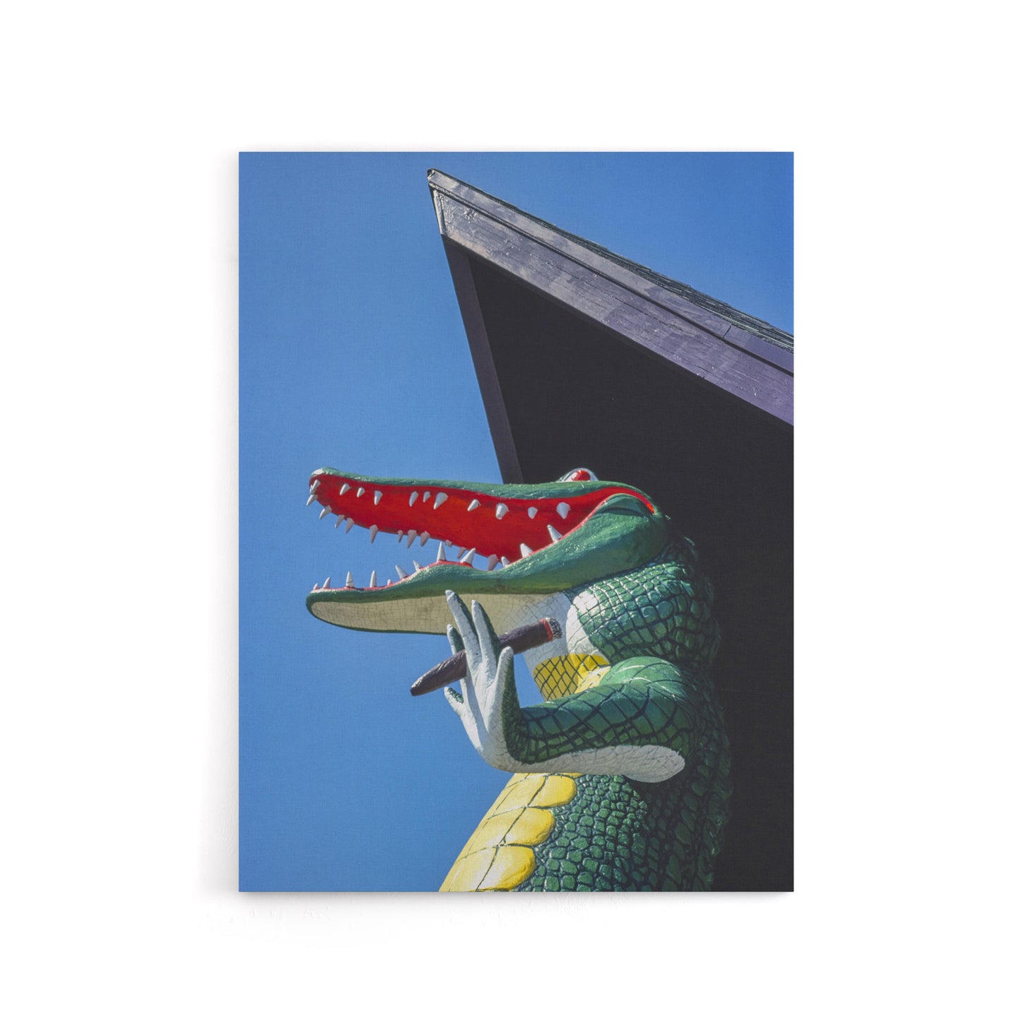 Gatorland Zoo Alligator With Cigar Margolies Canvas Wall Art Print