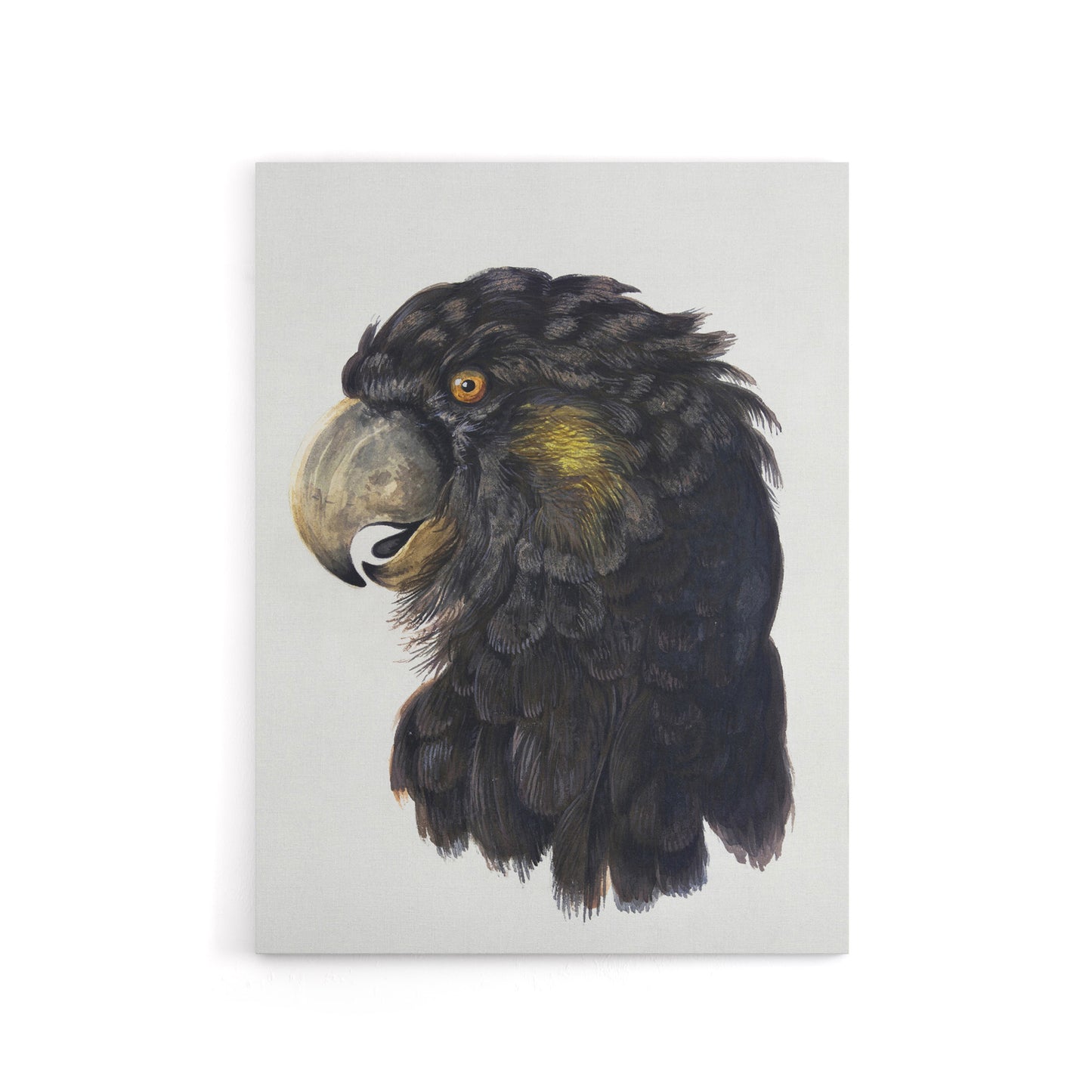 Cockatoo Parrot Head Schouman Watercolour Canvas Wall Art Print