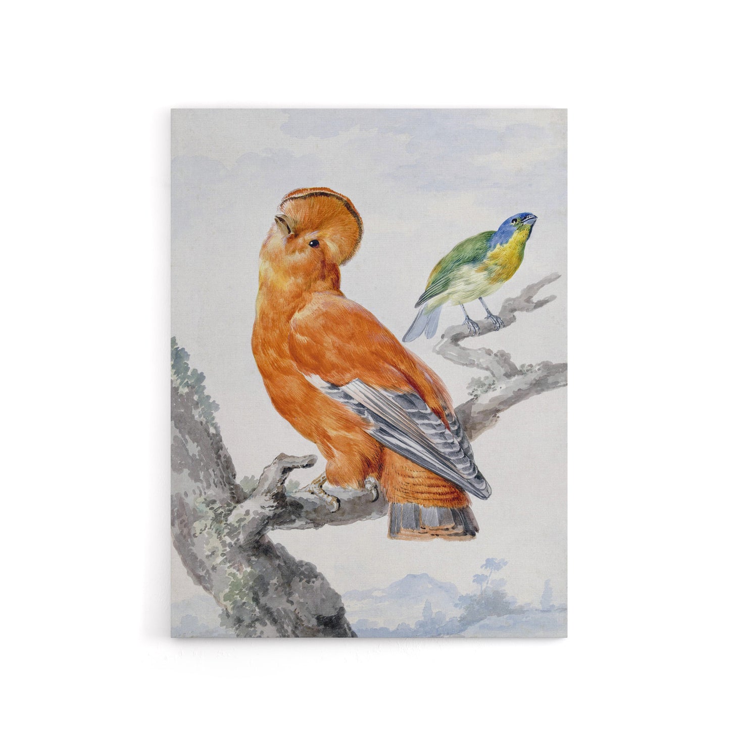 Two Exotic Birds Watercolour Painting Schouman Canvas Wall Art Print