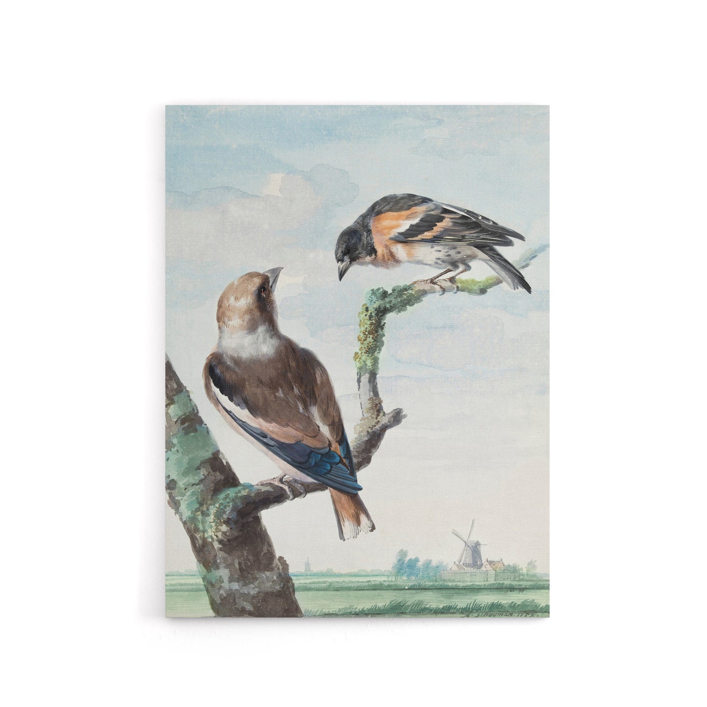 Two Hawfinch Birds in Rural Landscape Schouman Canvas Wall Art Print