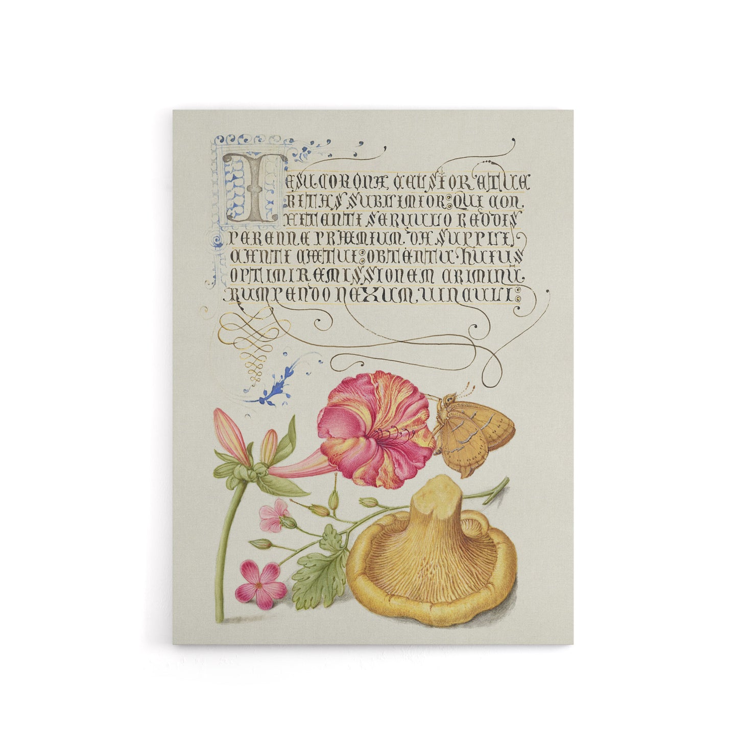 Flowers Mushroom and Butterfly Calligraphy Canvas Wall Art Print
