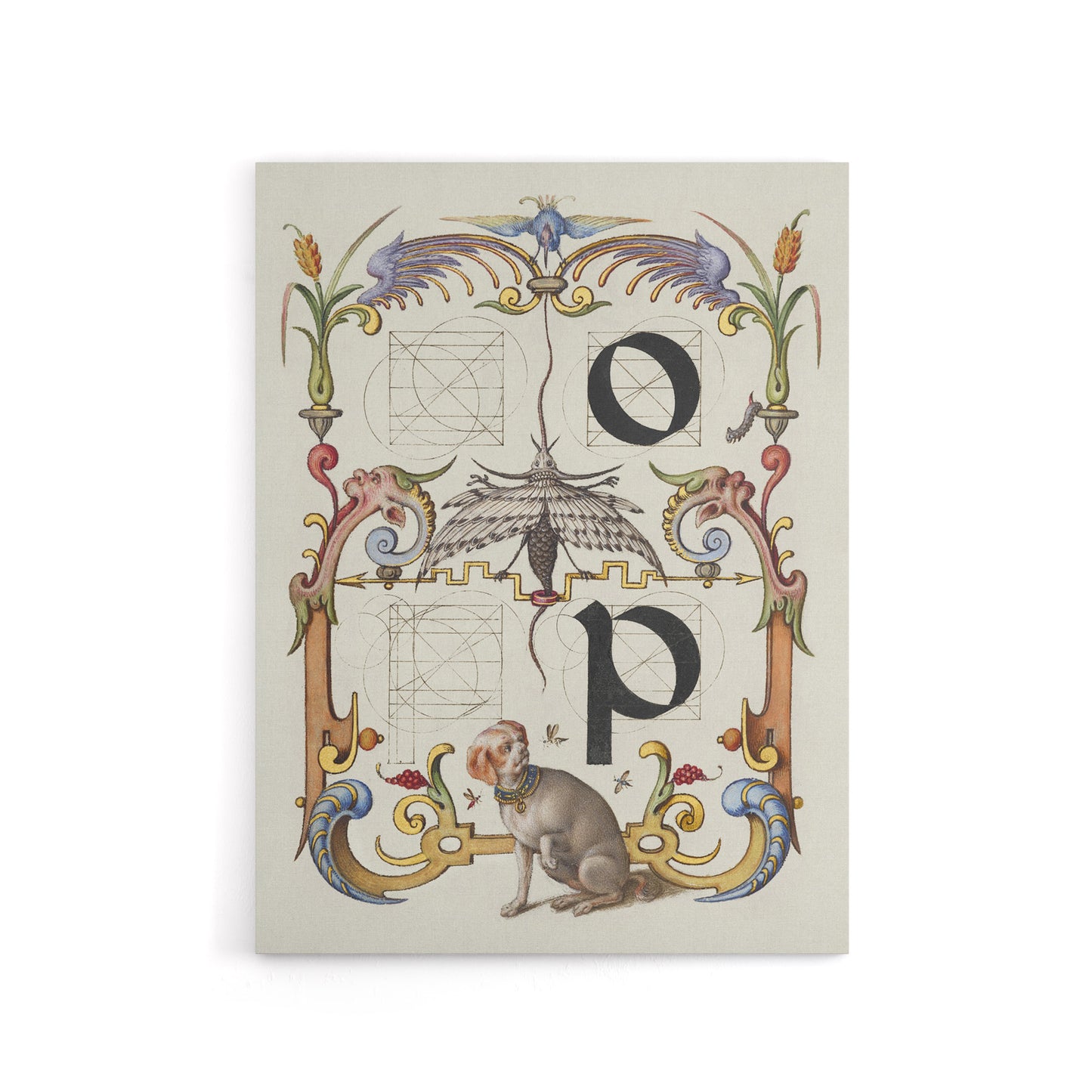 Pictorial Letter Guide O And P Calligraphy Canvas Wall Art Print