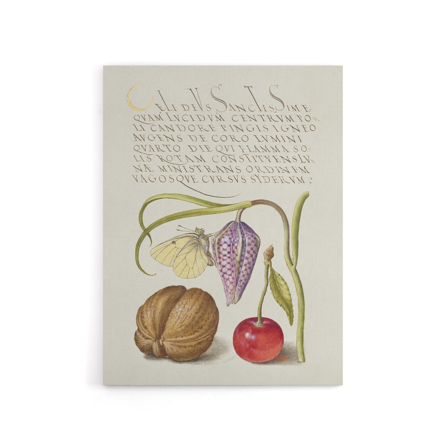 Snakeshead Walnut and Cherry Calligraphy Canvas Wall Art Print