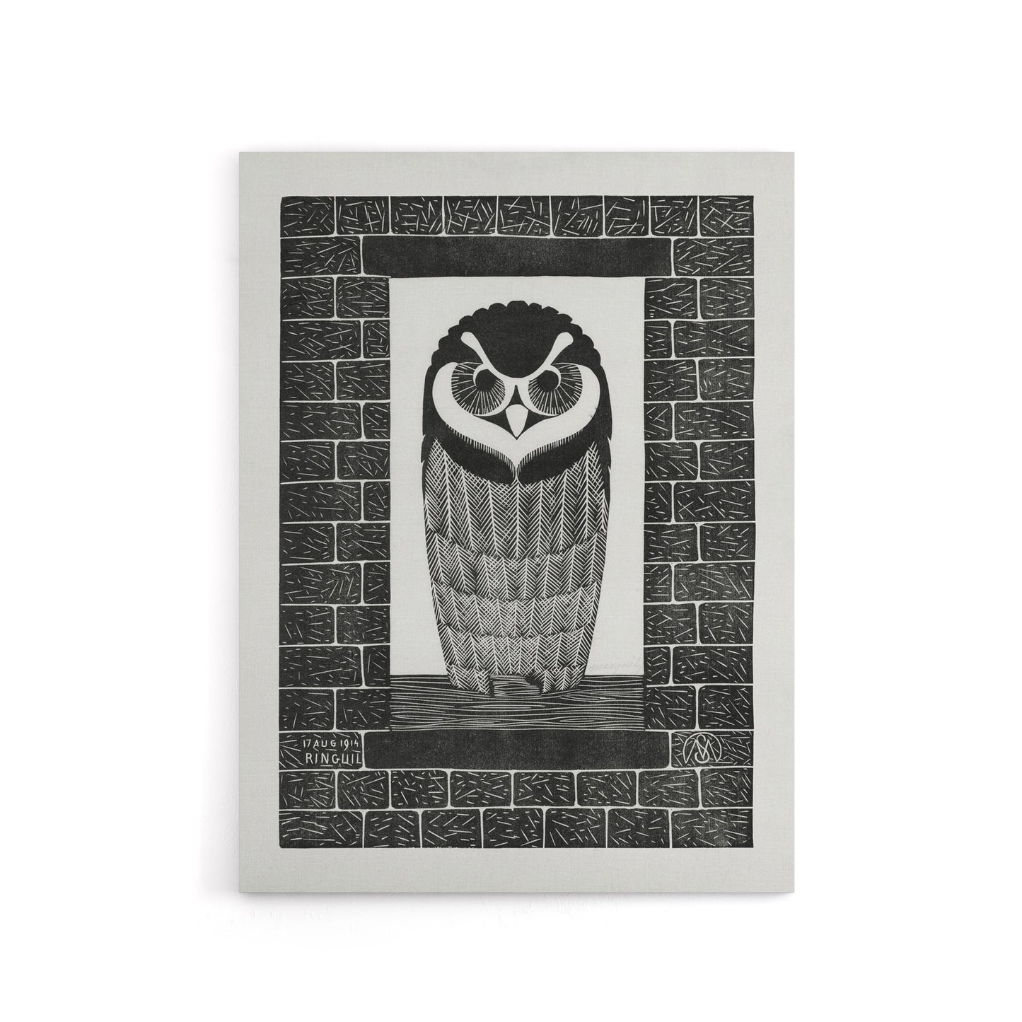 Ringuil Owl Bird on a Window De Mesquita Canvas Wall Art Print