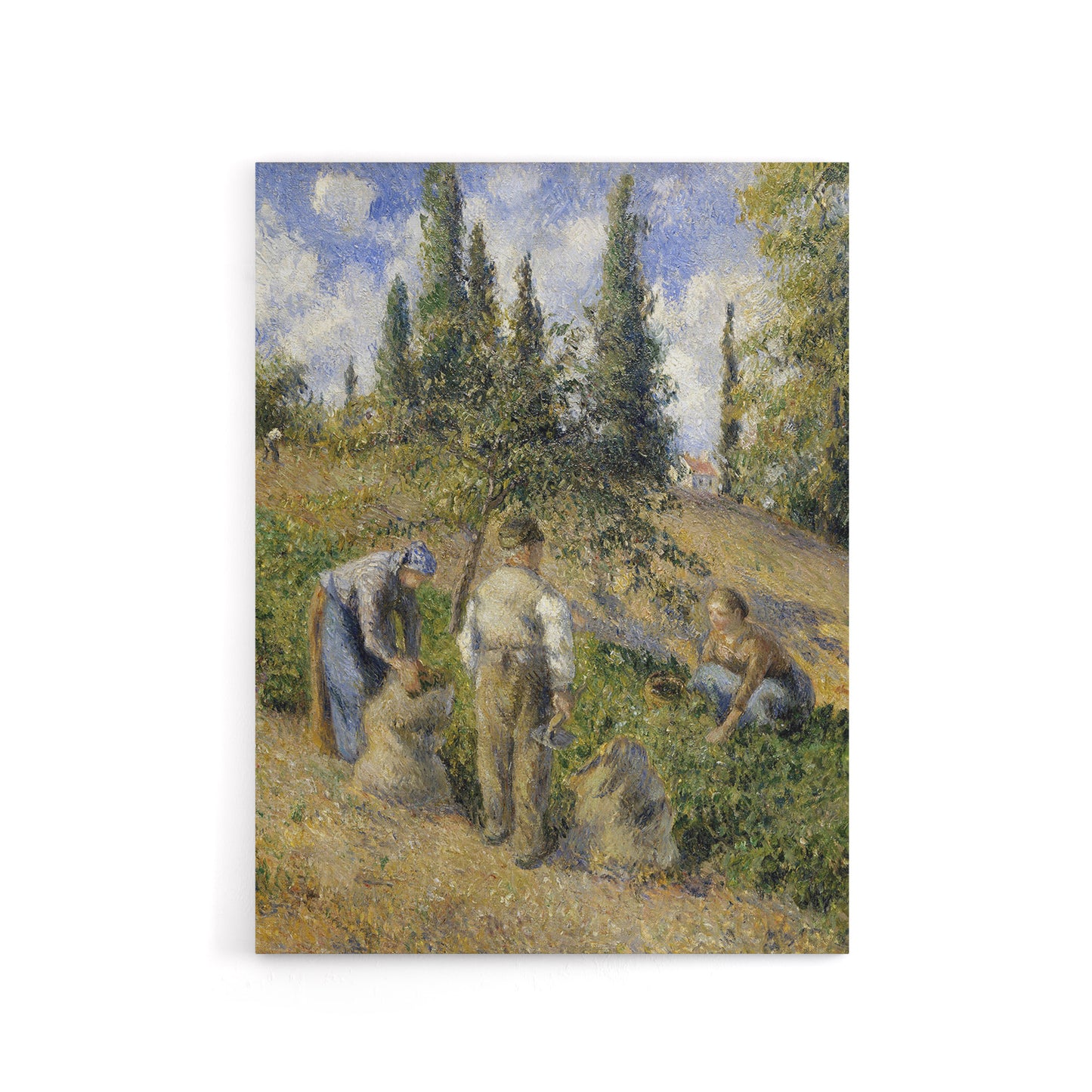 Pontoise Harvest Oil Painting Pissarro Canvas Wall Art Print