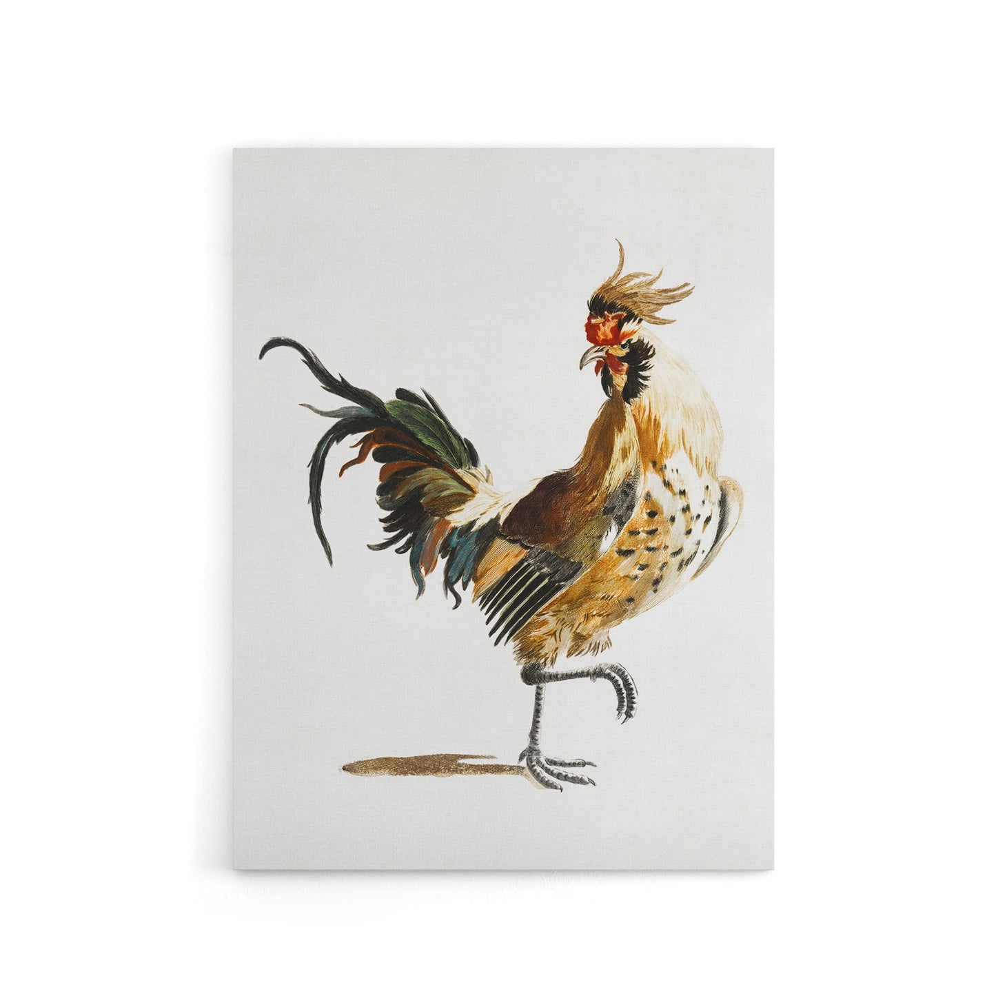 A Rooster Watercolour Painting Johan Teyler Canvas Wall Art