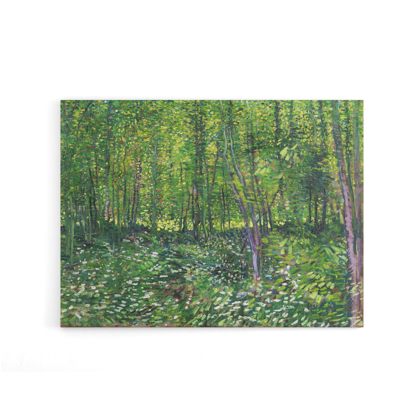 Vincent Van Gogh Trees And Undergrowth Canvas Wall Art Print