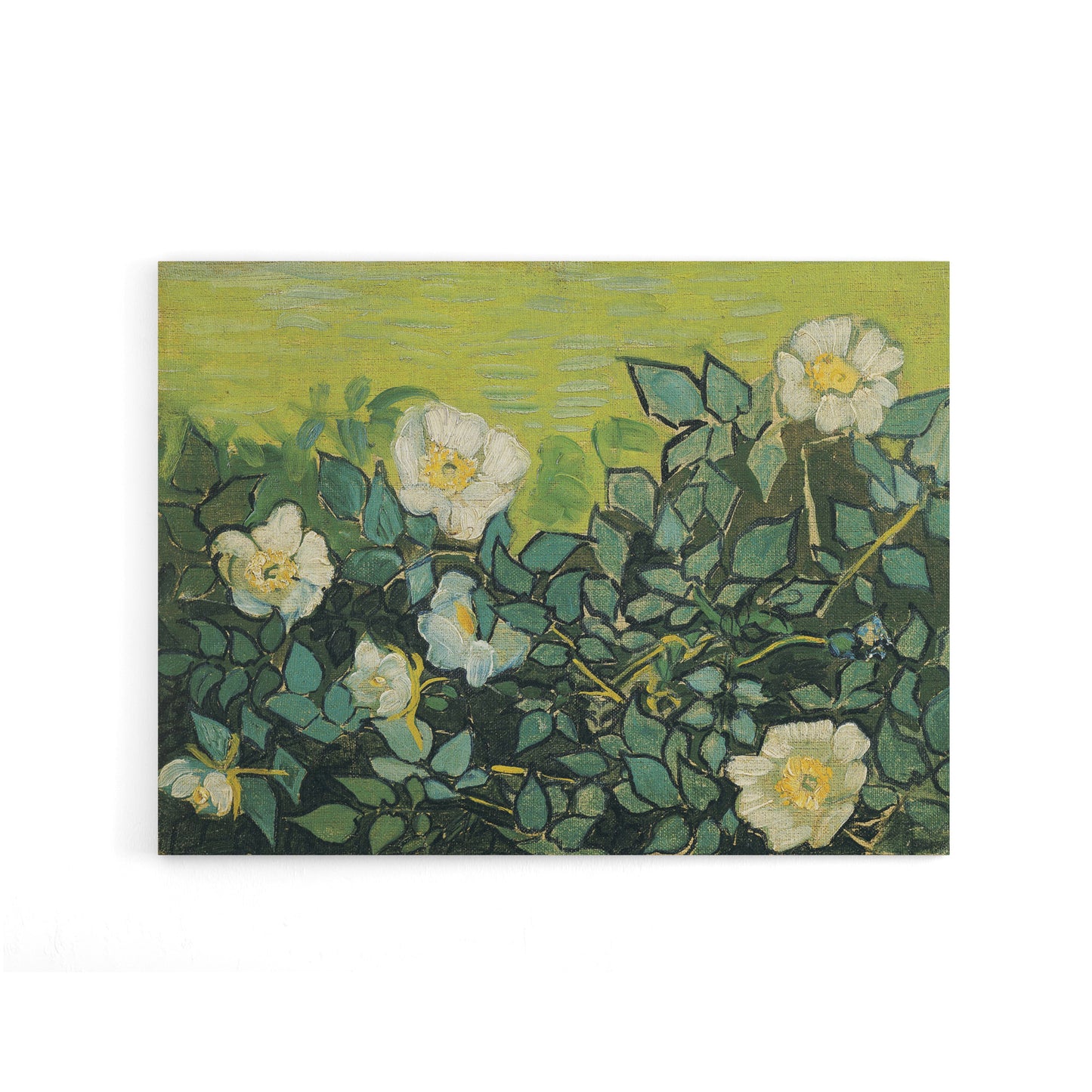 Vincent Van Gogh Wild Roses Floral Canvas Wall Art Print