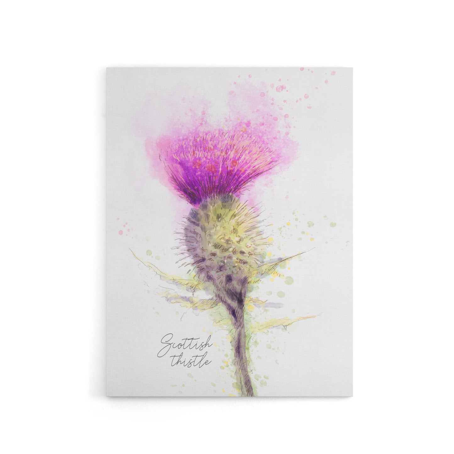 Scottish Thistle Flower Head Canvas Wall Art Print