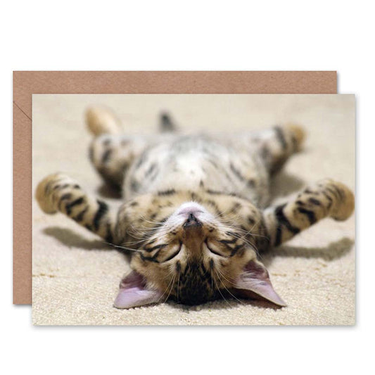 Supine Cute Sleeping Kitten Cat Greeting Card